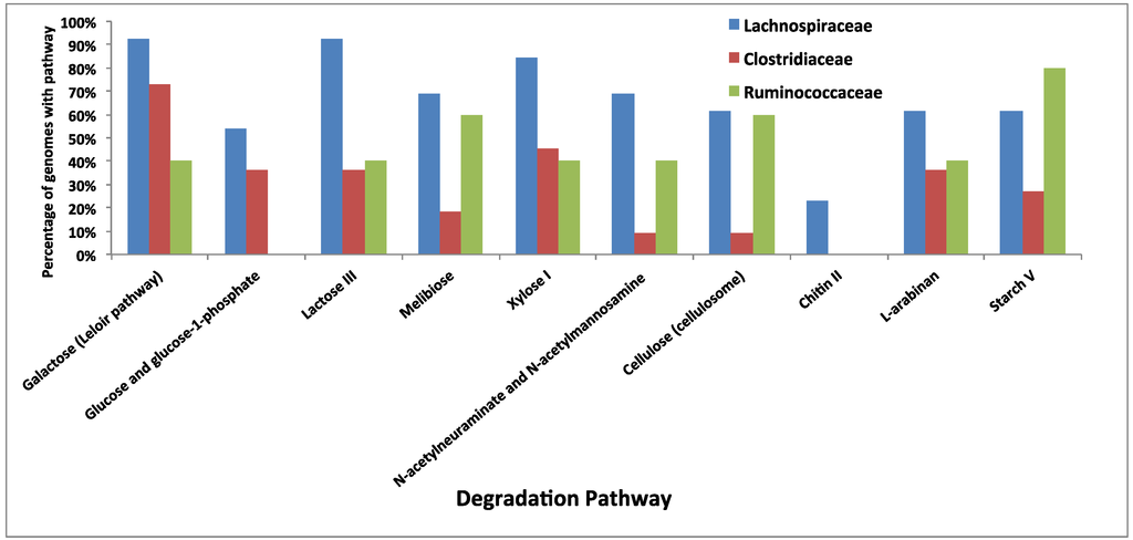 Diversity 05 00627 g010 1024