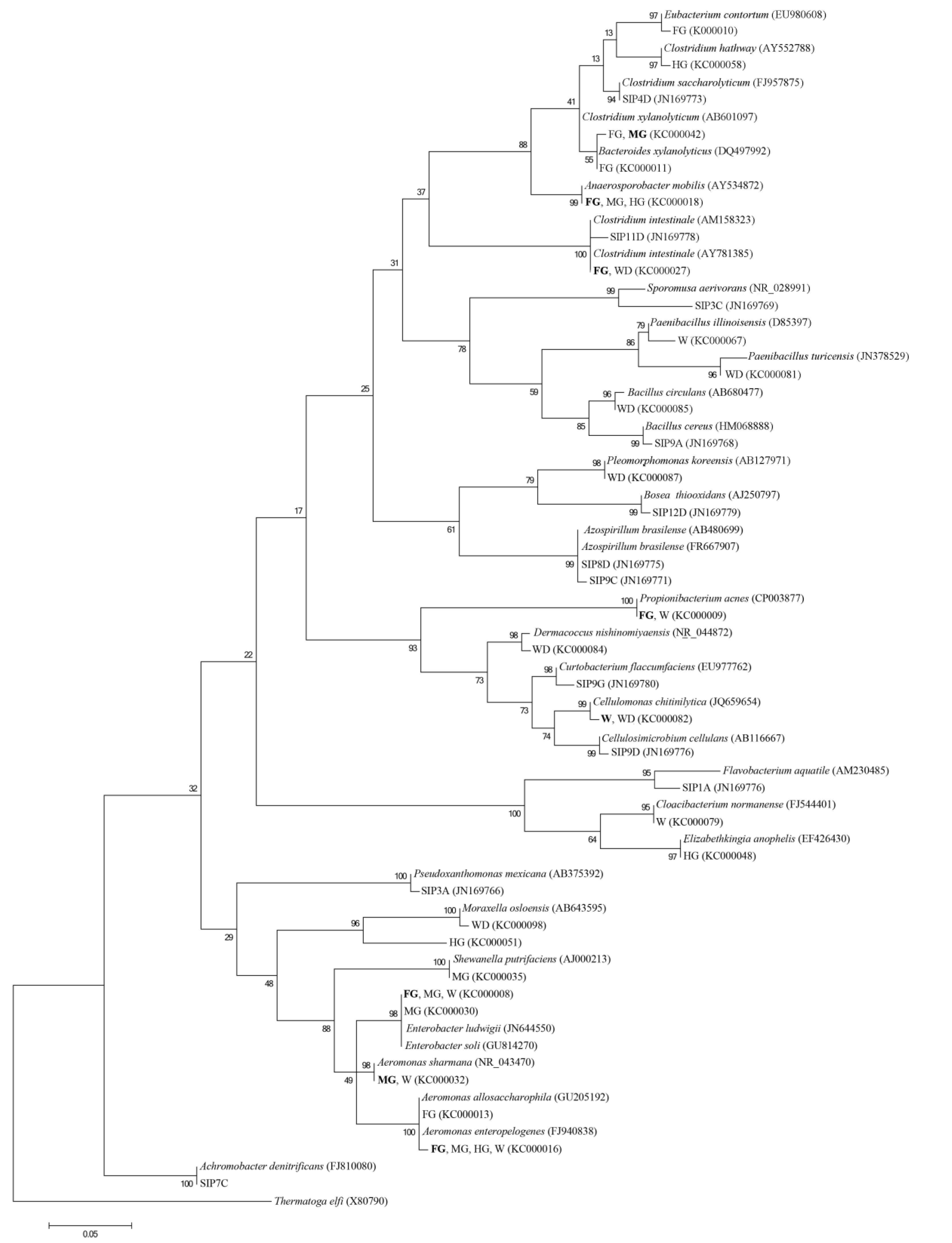 Diversity 05 00641 g002