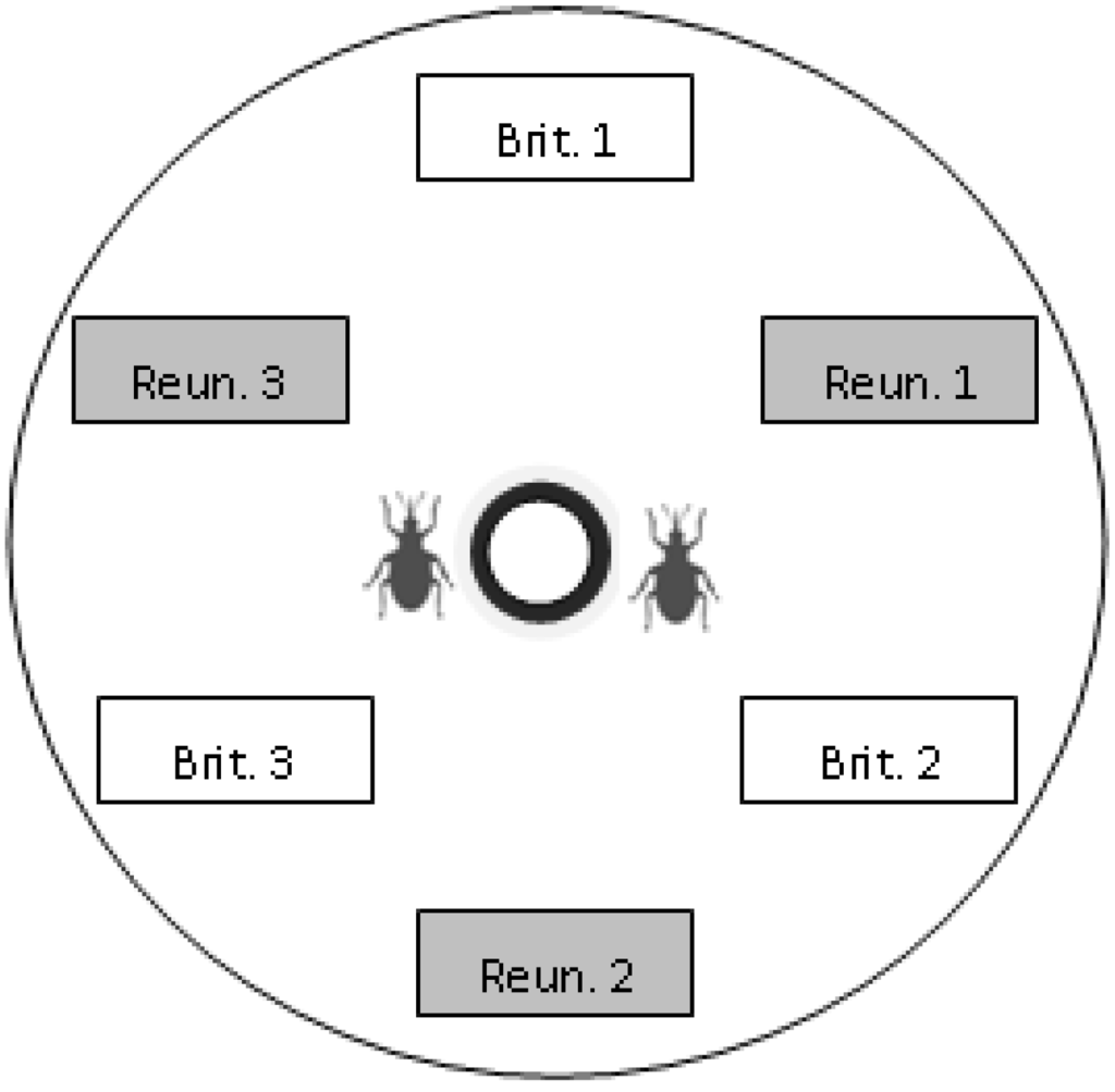 Diversity 05 00734 g001 1024