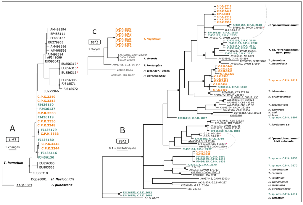 Diversity 05 00750 g001 1024