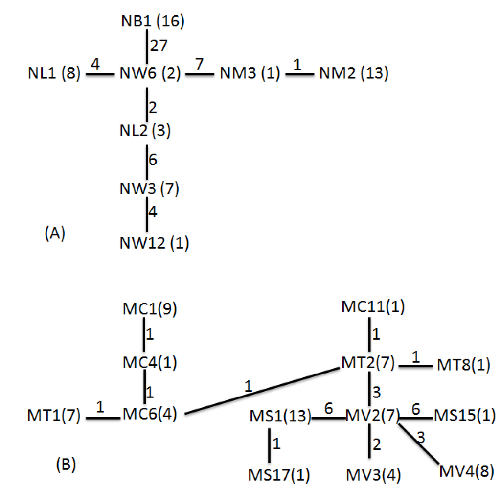 Diversity 05 00796 g003 1024