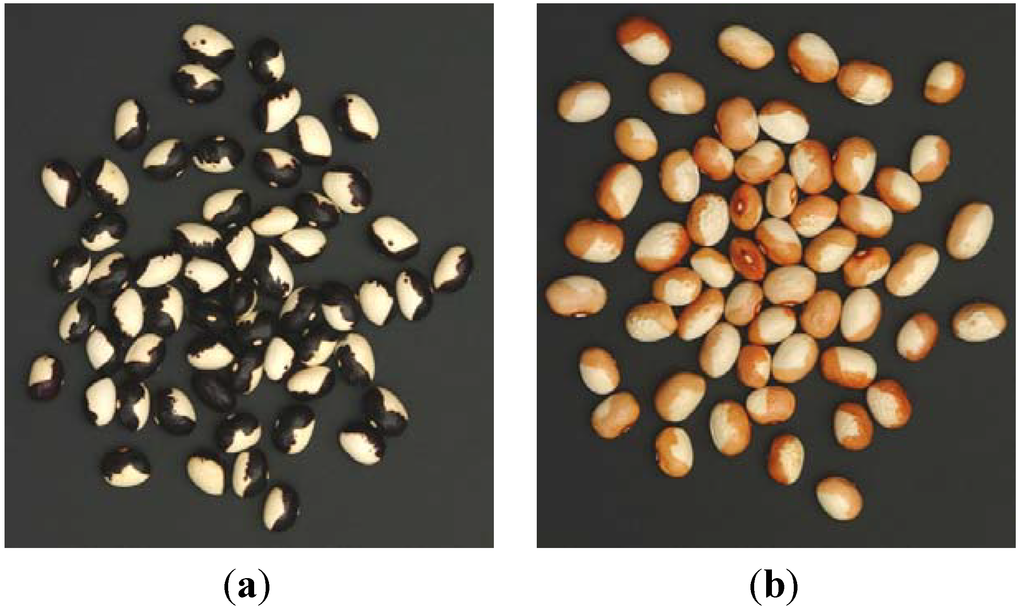 Diversity 05 00843 g002 1024