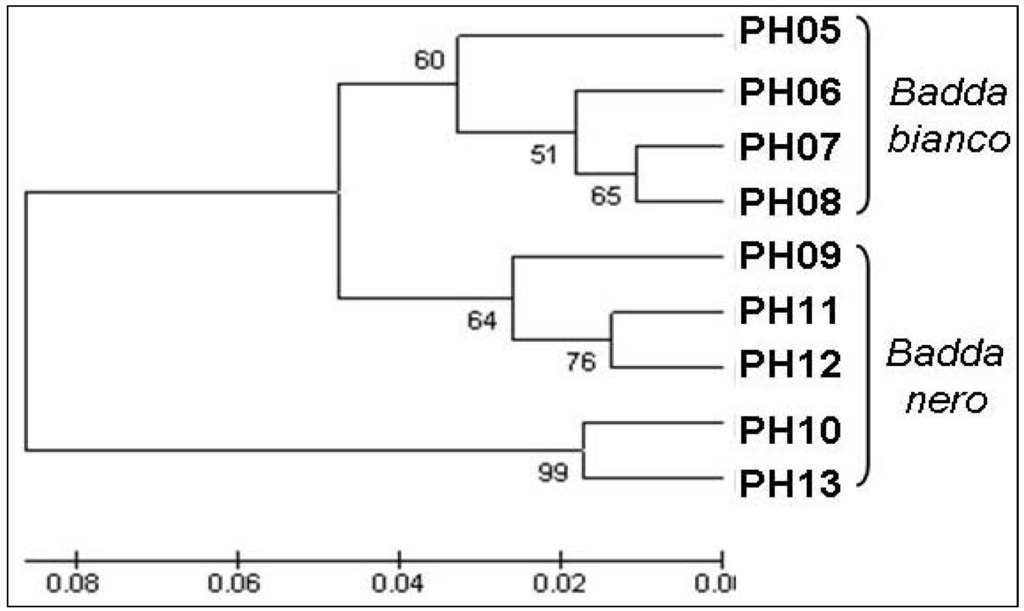 Diversity 05 00843 g003 1024