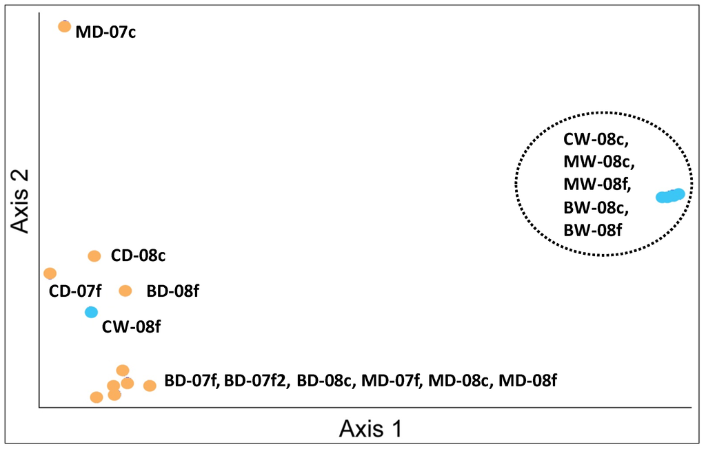 Diversity 06 00018 g006 1024