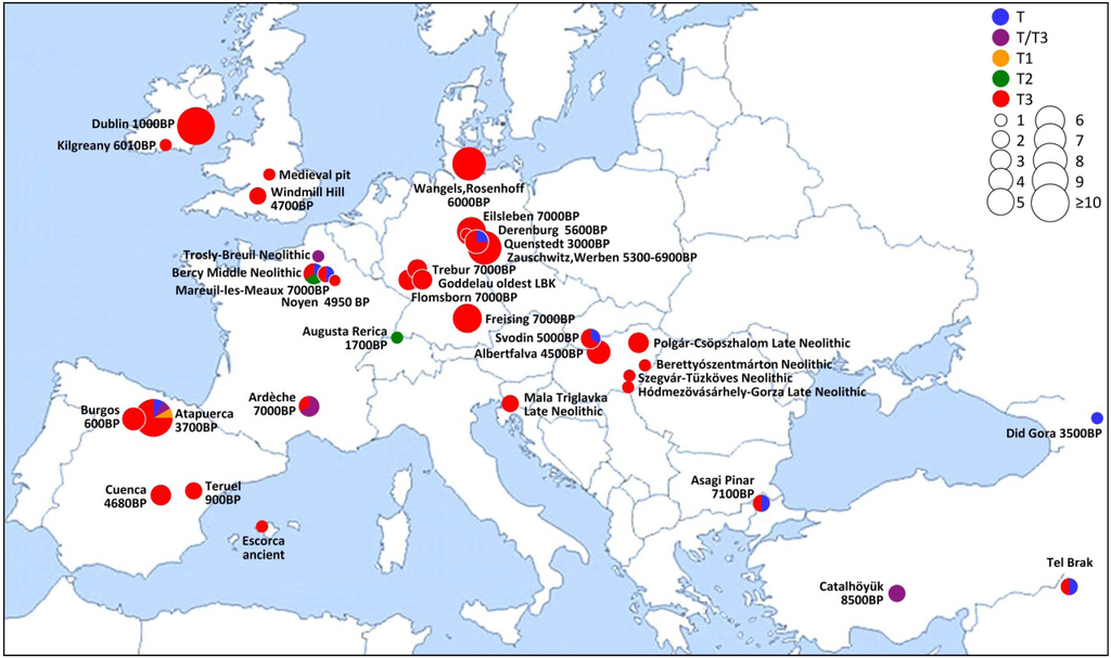 Diversity 06 00178 g002 1024