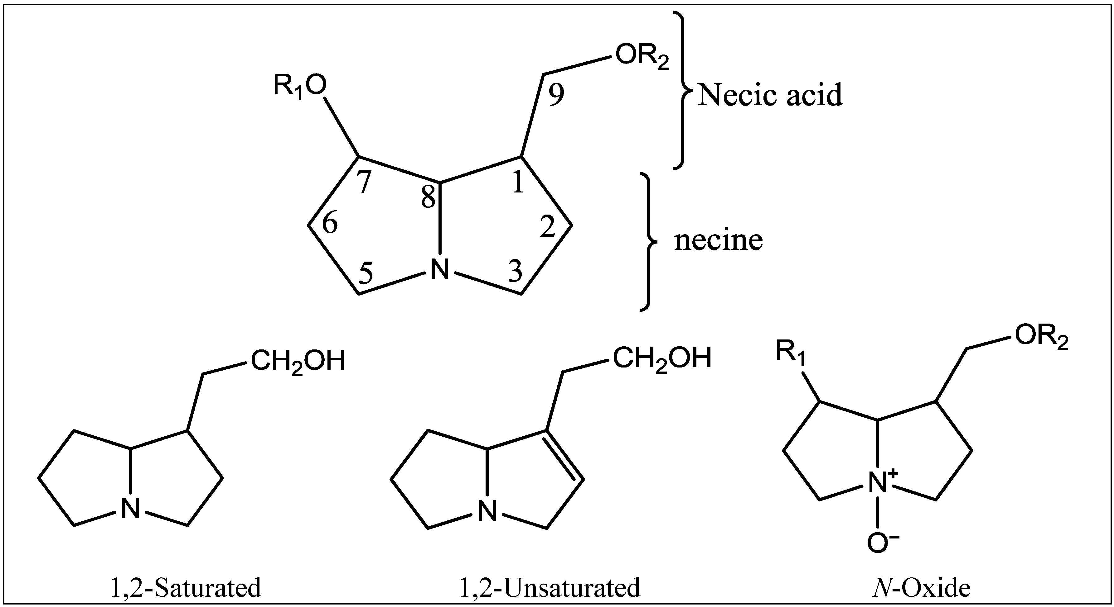 Diversity 06 00188 g001