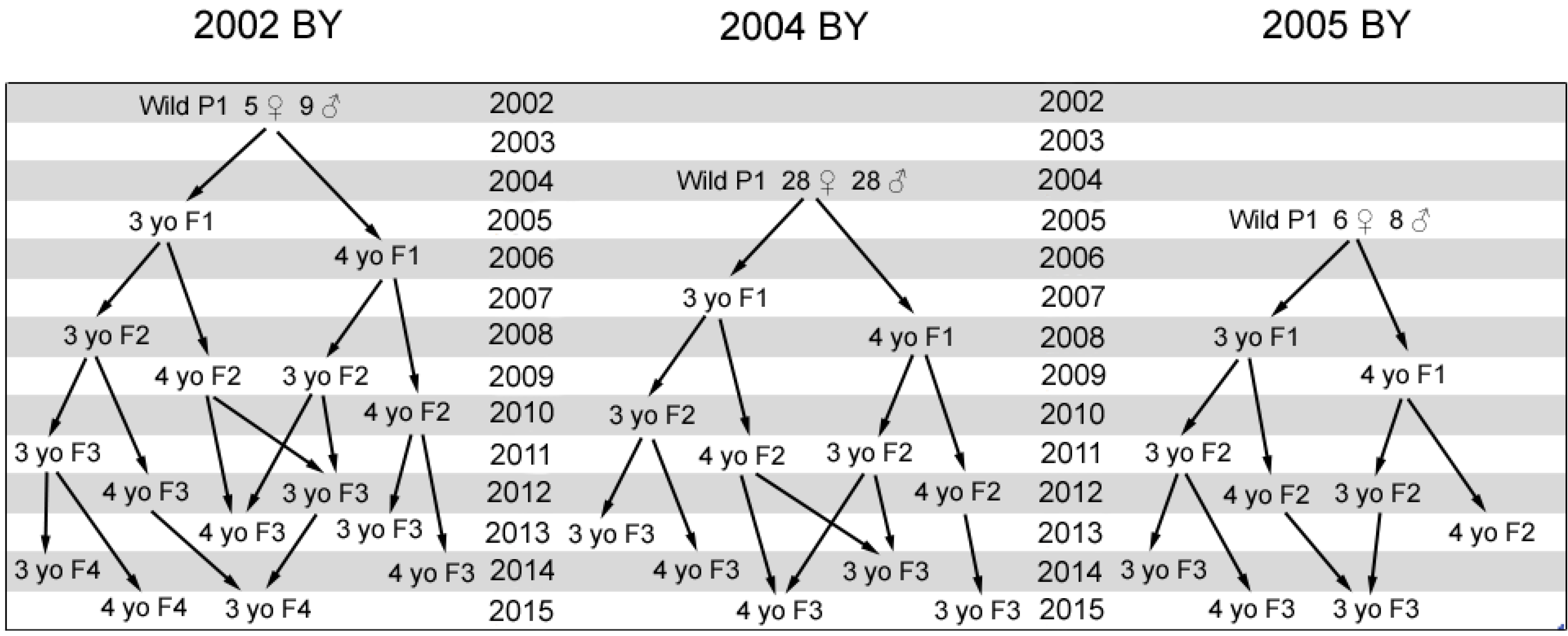 Diversity 06 00354 g002