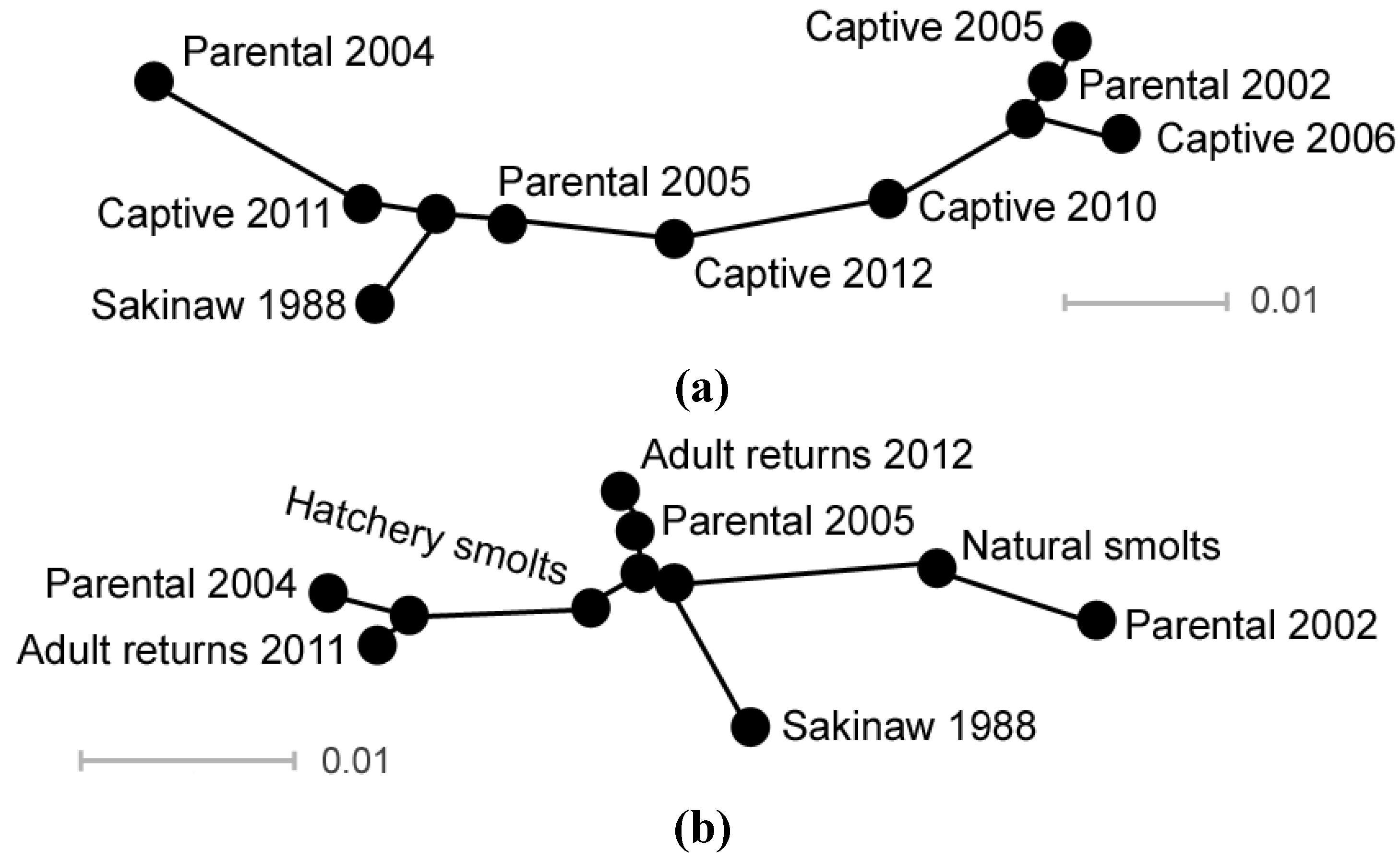 Diversity 06 00354 g003