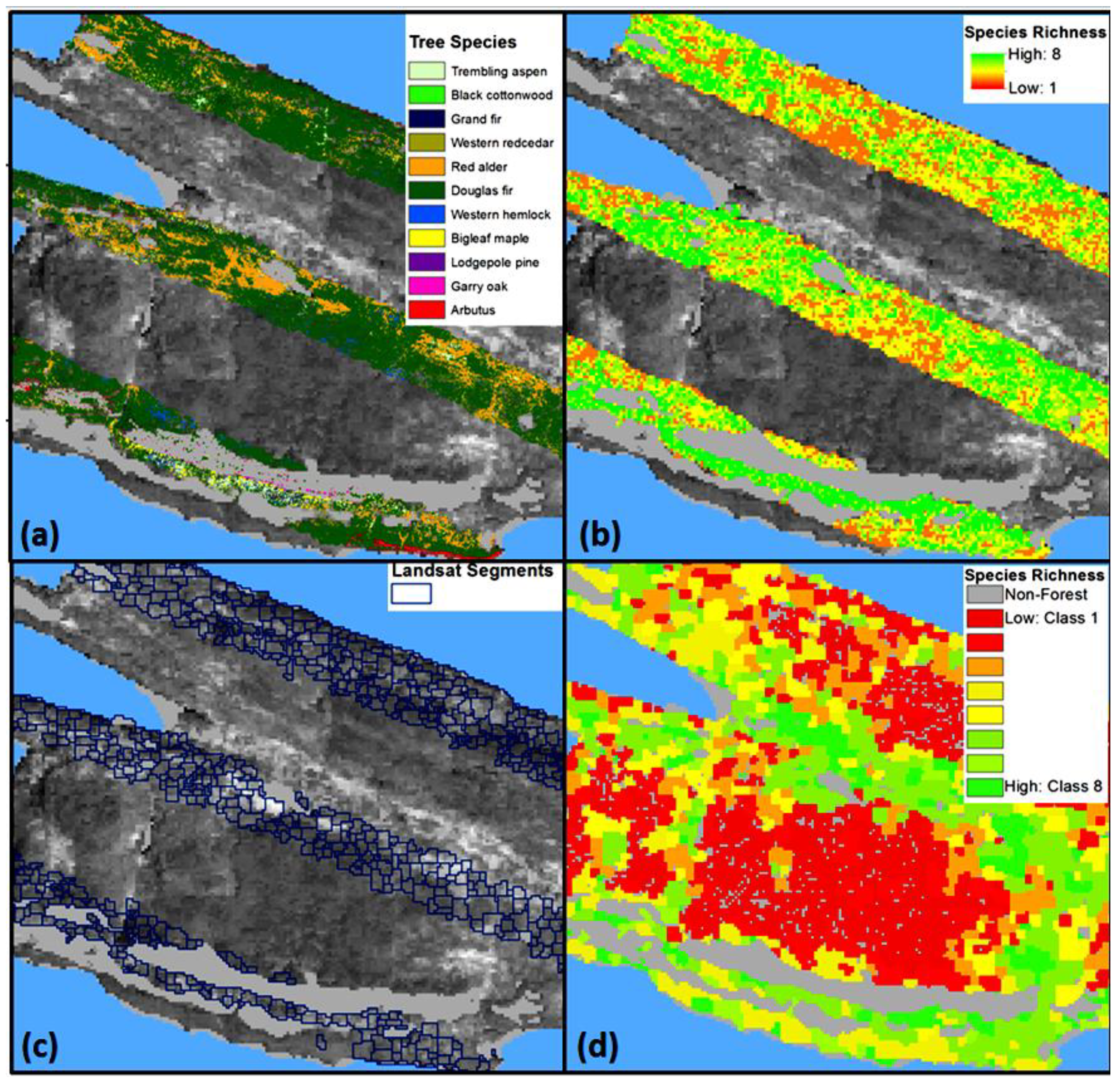 Diversity 06 00396 g002