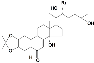 Diversity 06 00415 i004