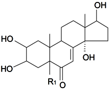 Diversity 06 00415 i005