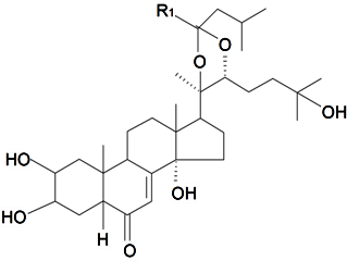 Diversity 06 00415 i006