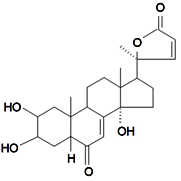 Diversity 06 00415 i013