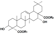 Diversity 06 00415 i056