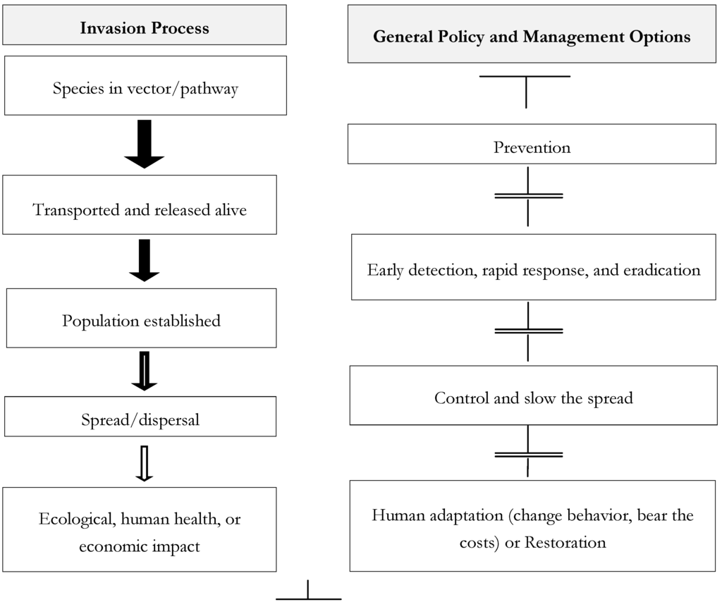 Diversity 06 00500 g001 1024