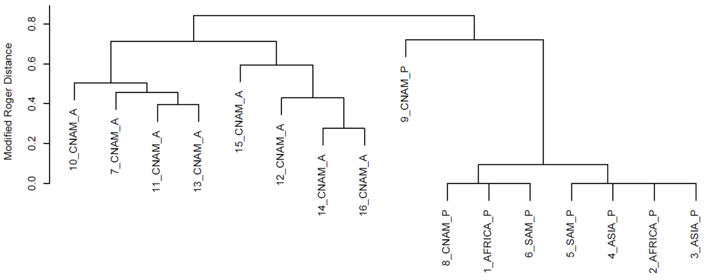 Diversity 06 00551 g001 1024