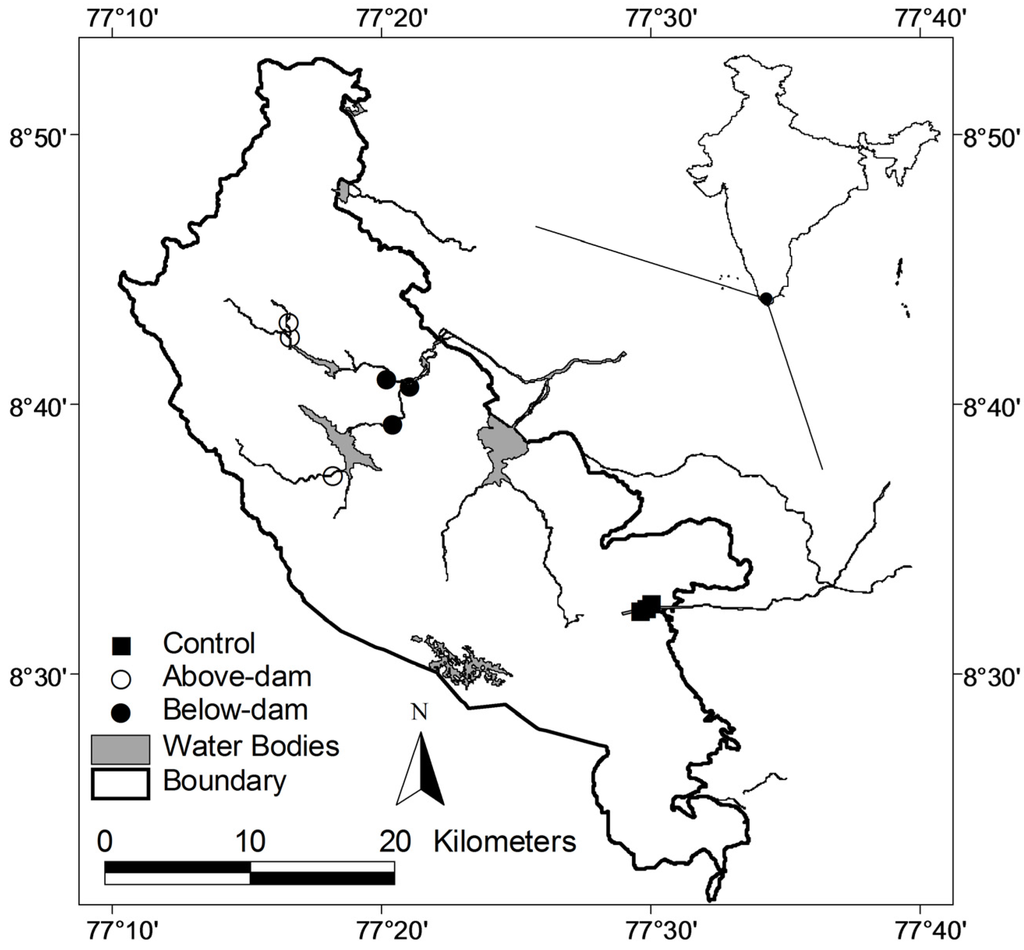 Diversity 06 00567 g001 1024