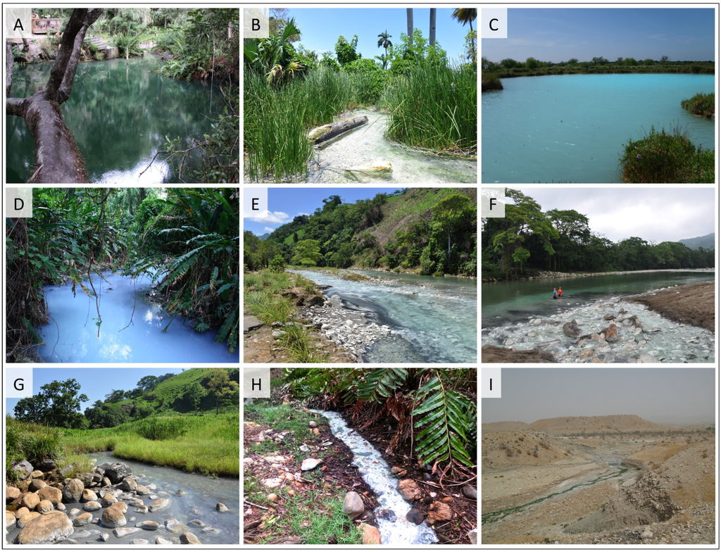 Diversity 06 00597 g002 1024