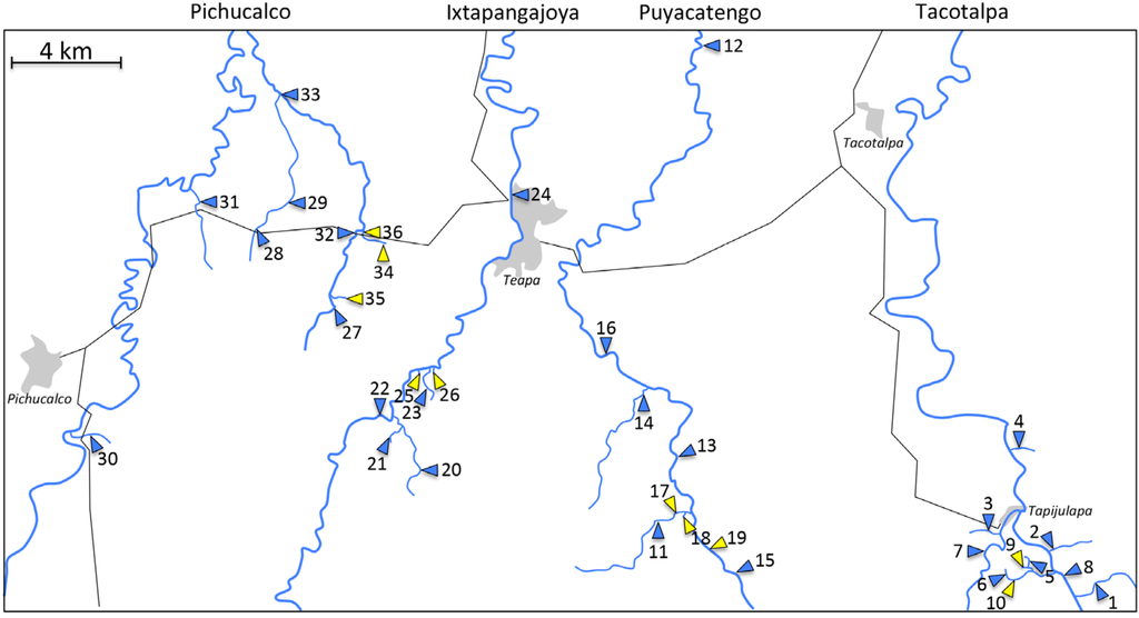 Diversity 06 00597 g003 1024