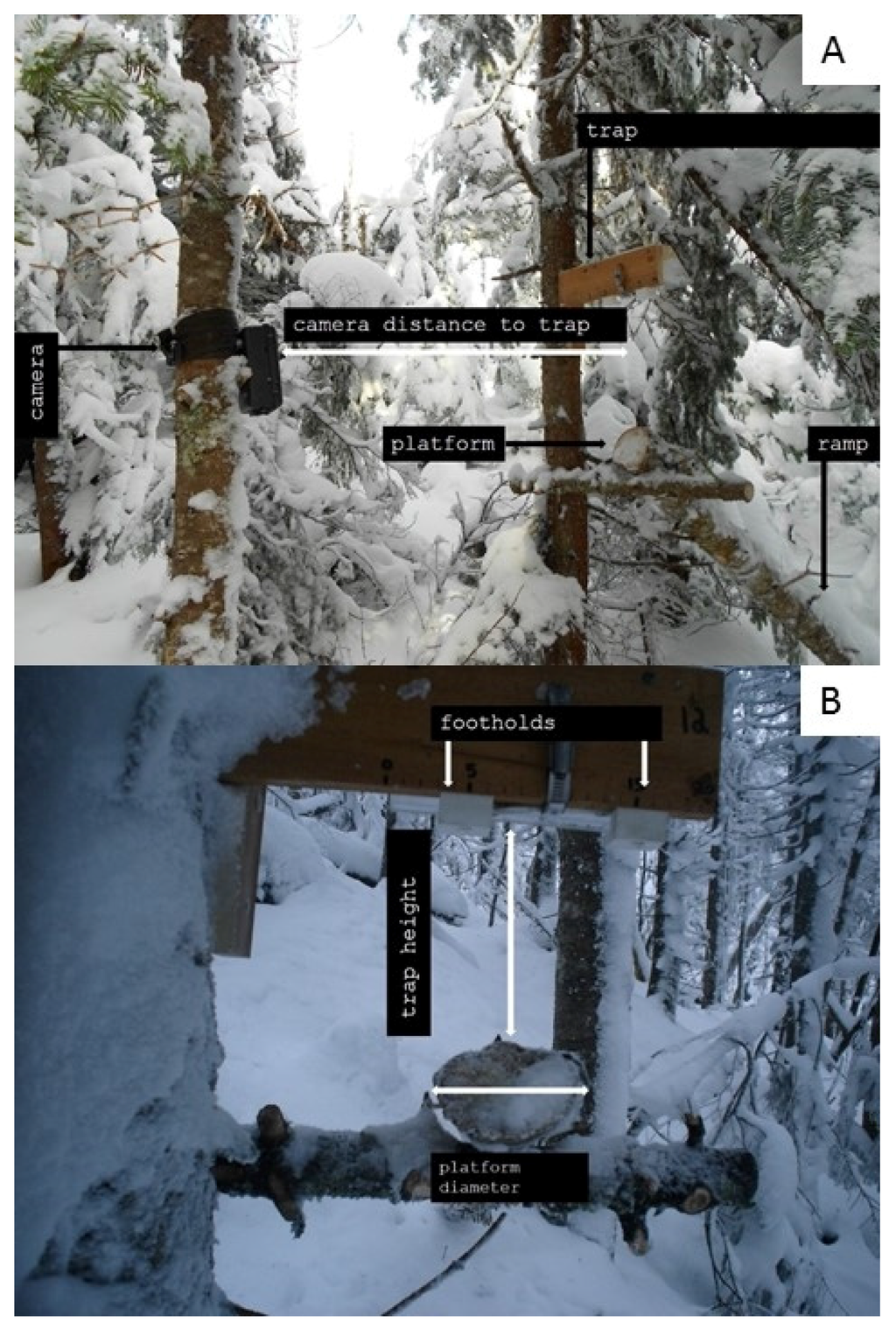 Diversity 08 00003 g002 1024