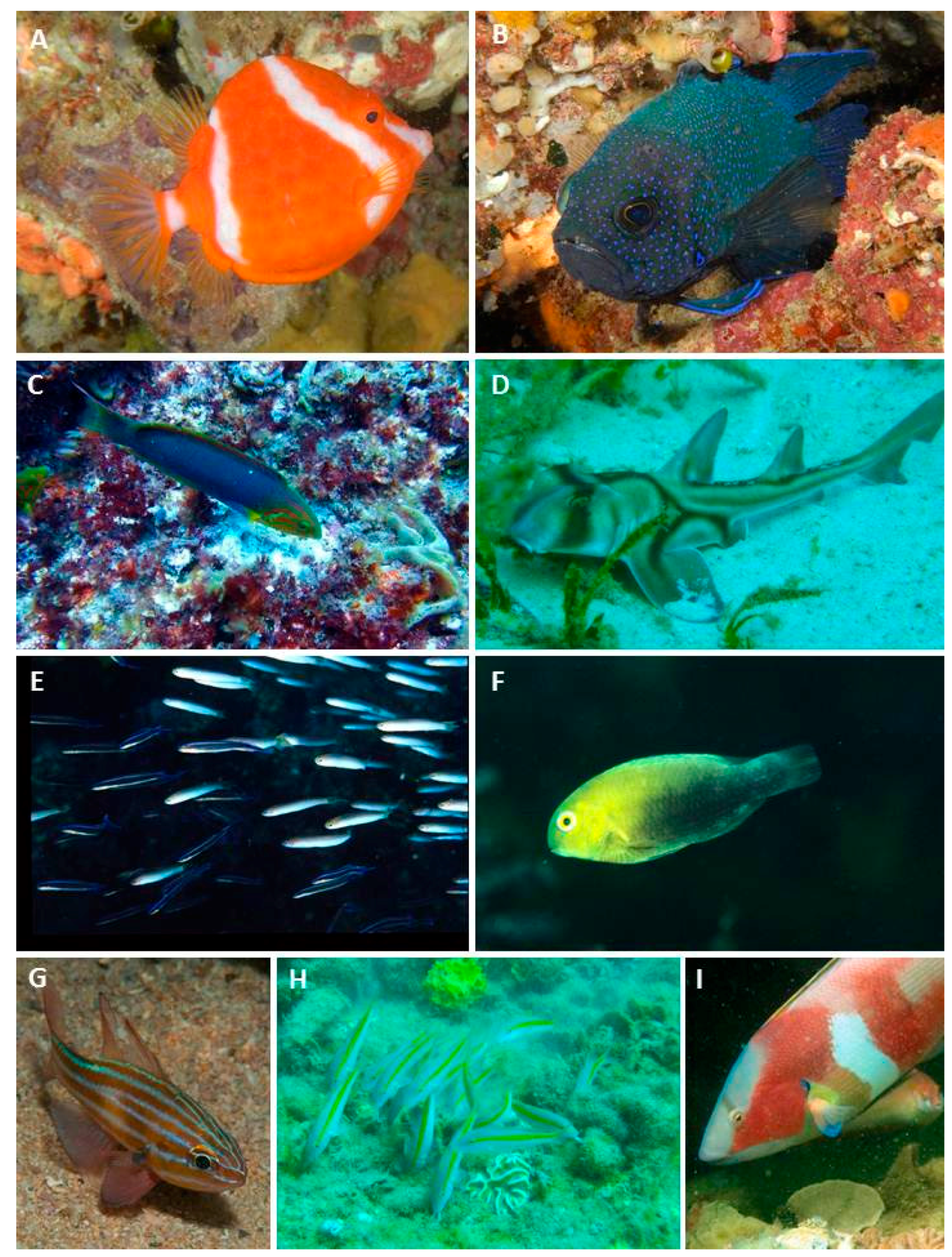 Diversity 08 00007 g008