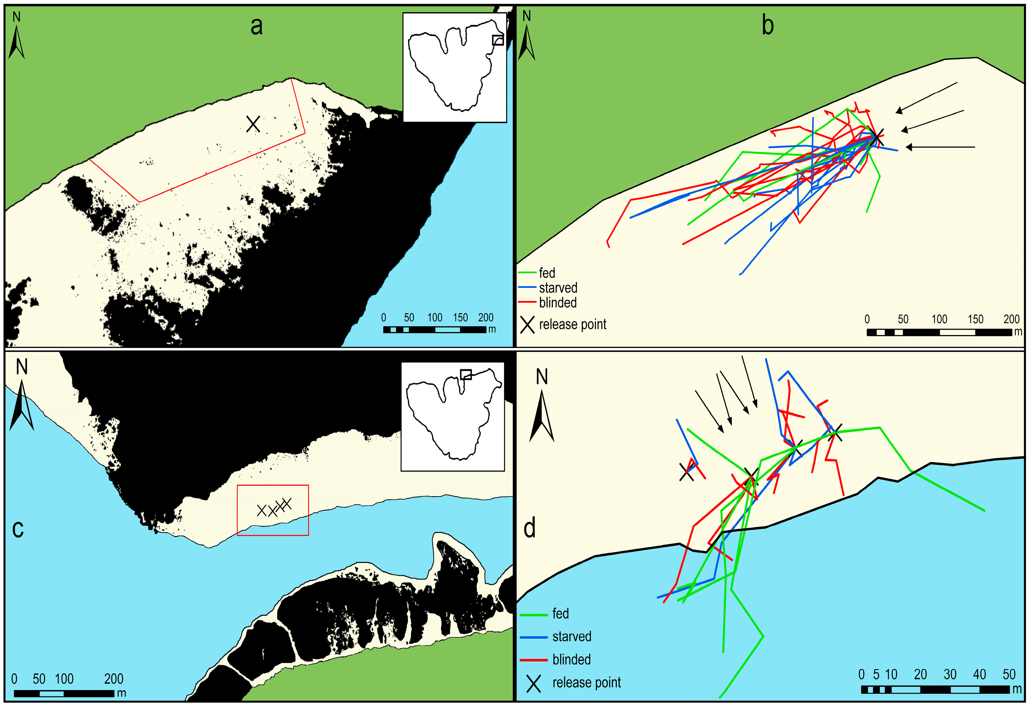 Diversity 08 00025 g001