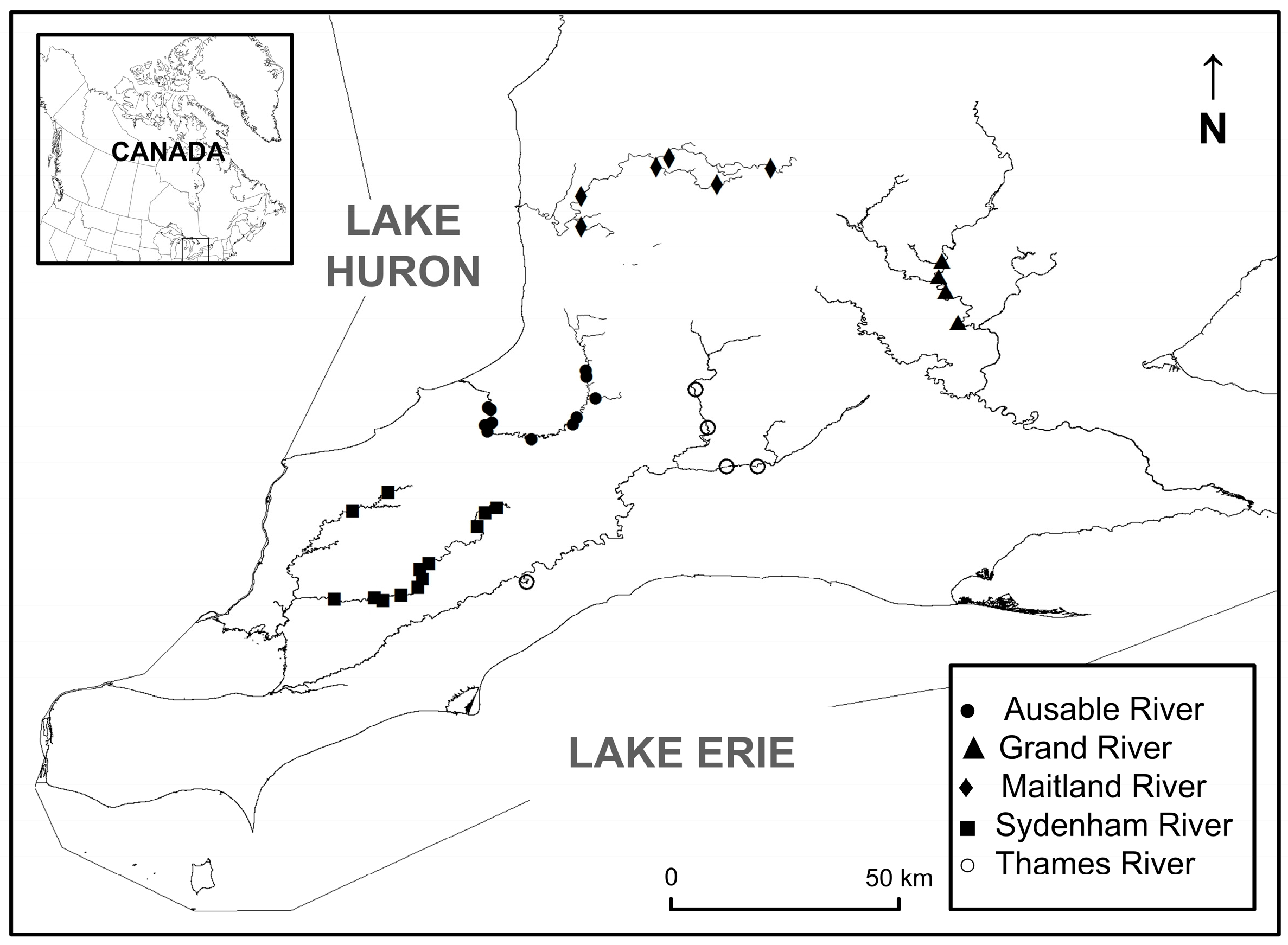 Diversity 09 00005 g001