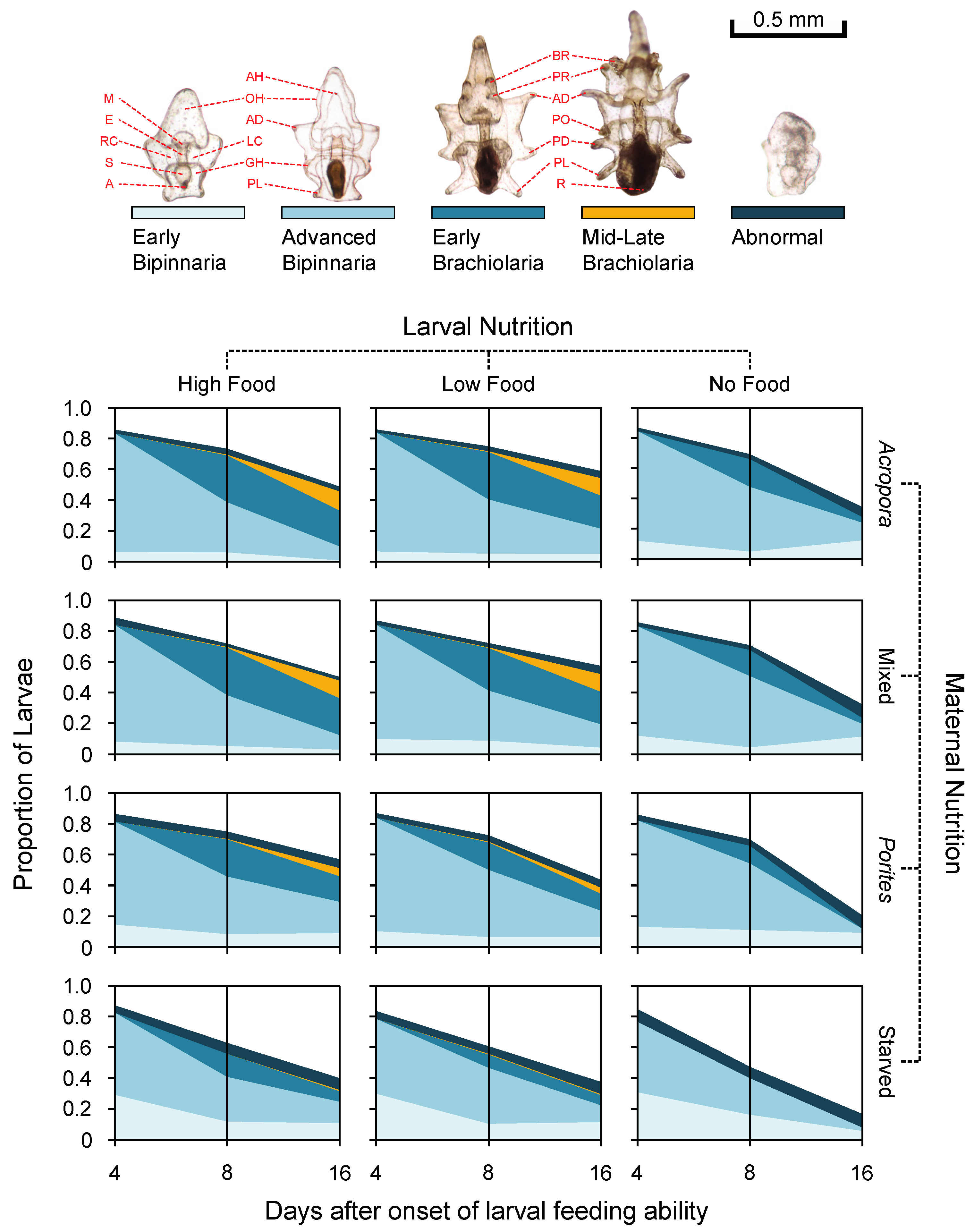 Diversity 09 00015 g003