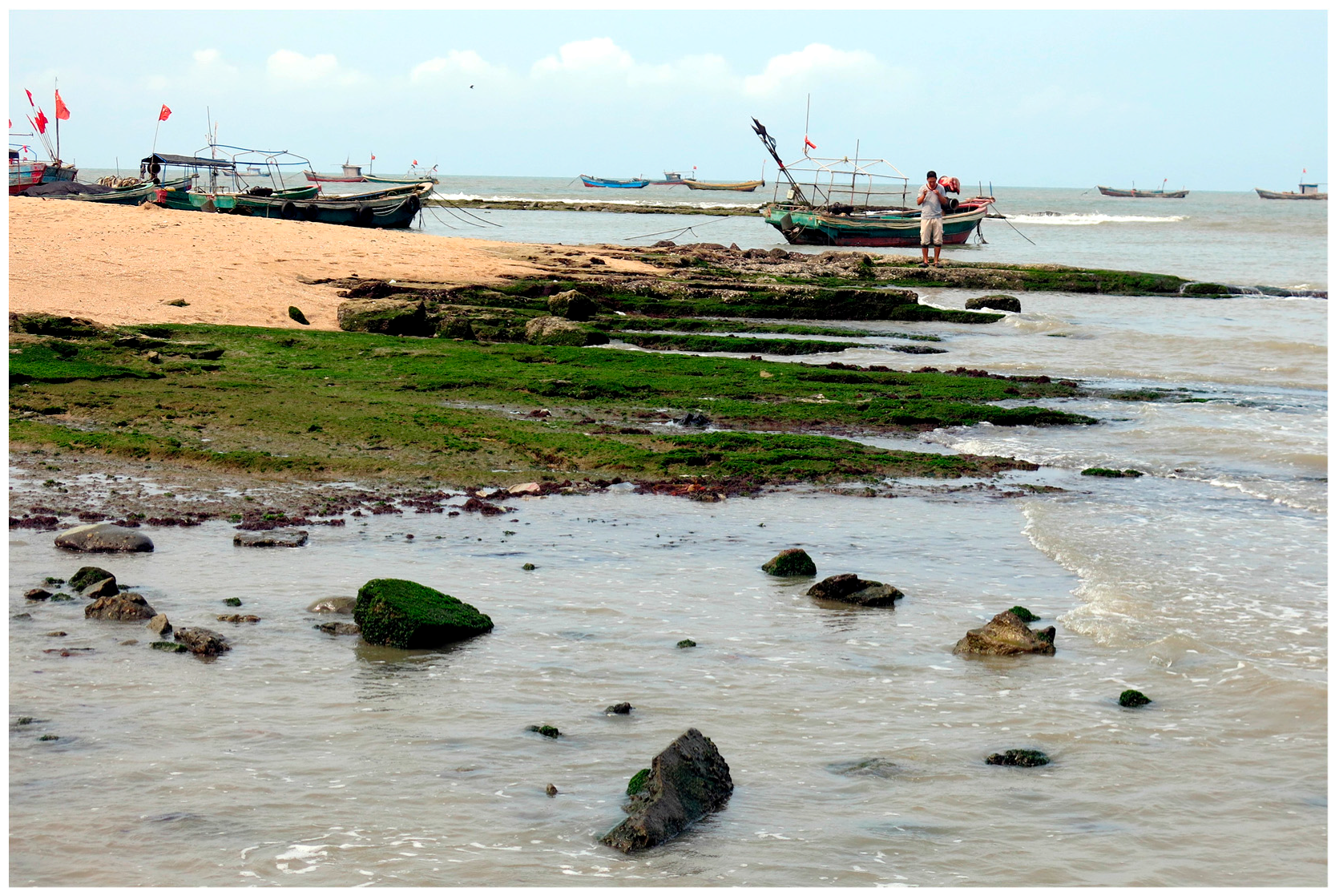 Diversity 09 00024 g007