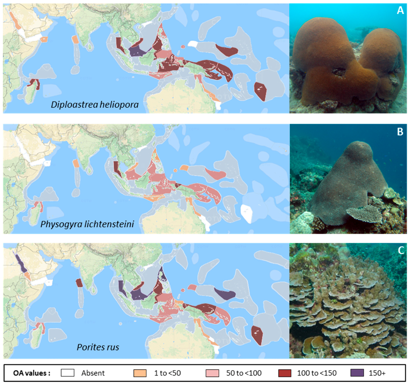 Diversity 09 00025 g011