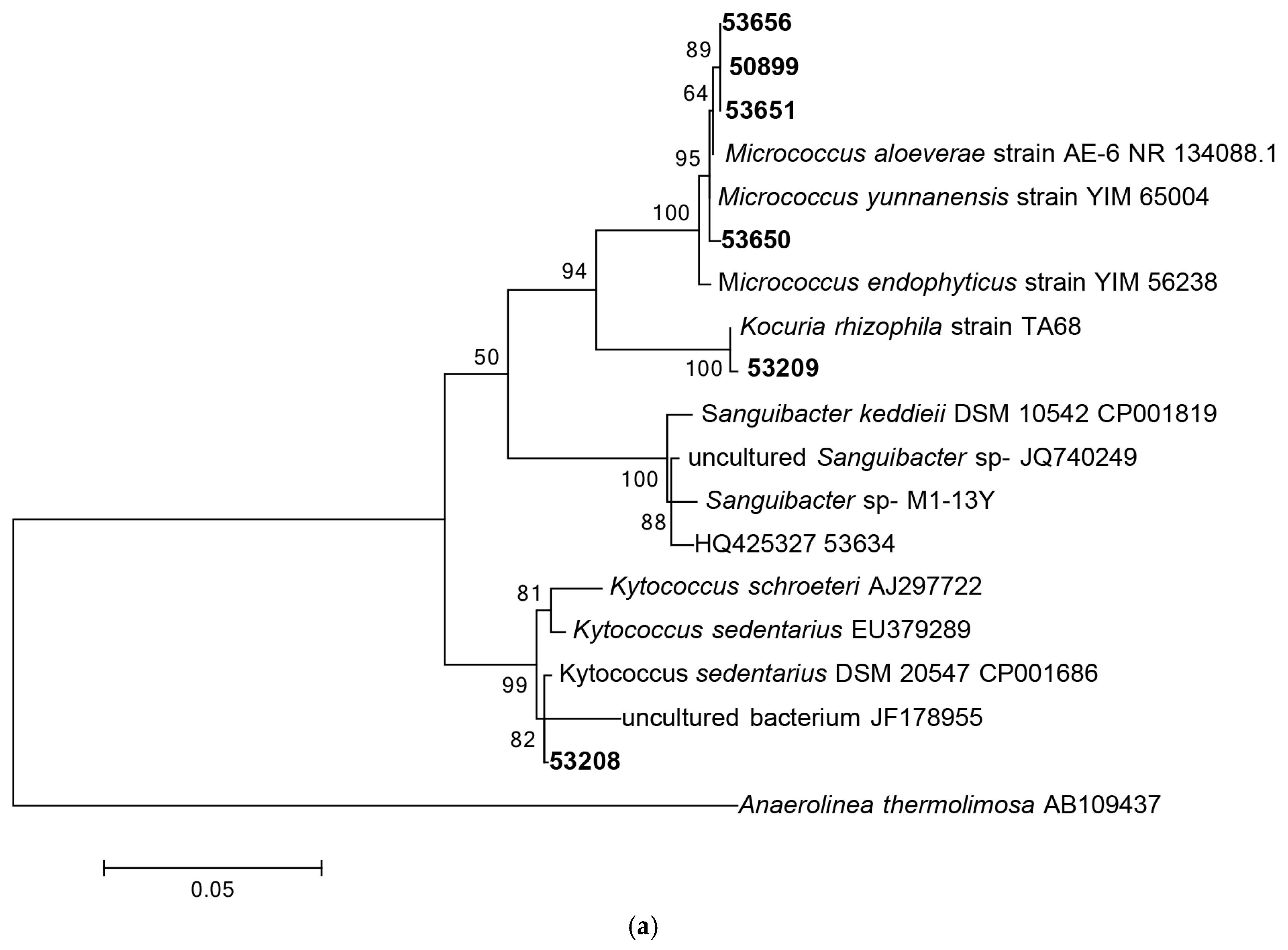 Diversity 09 00039 g001a