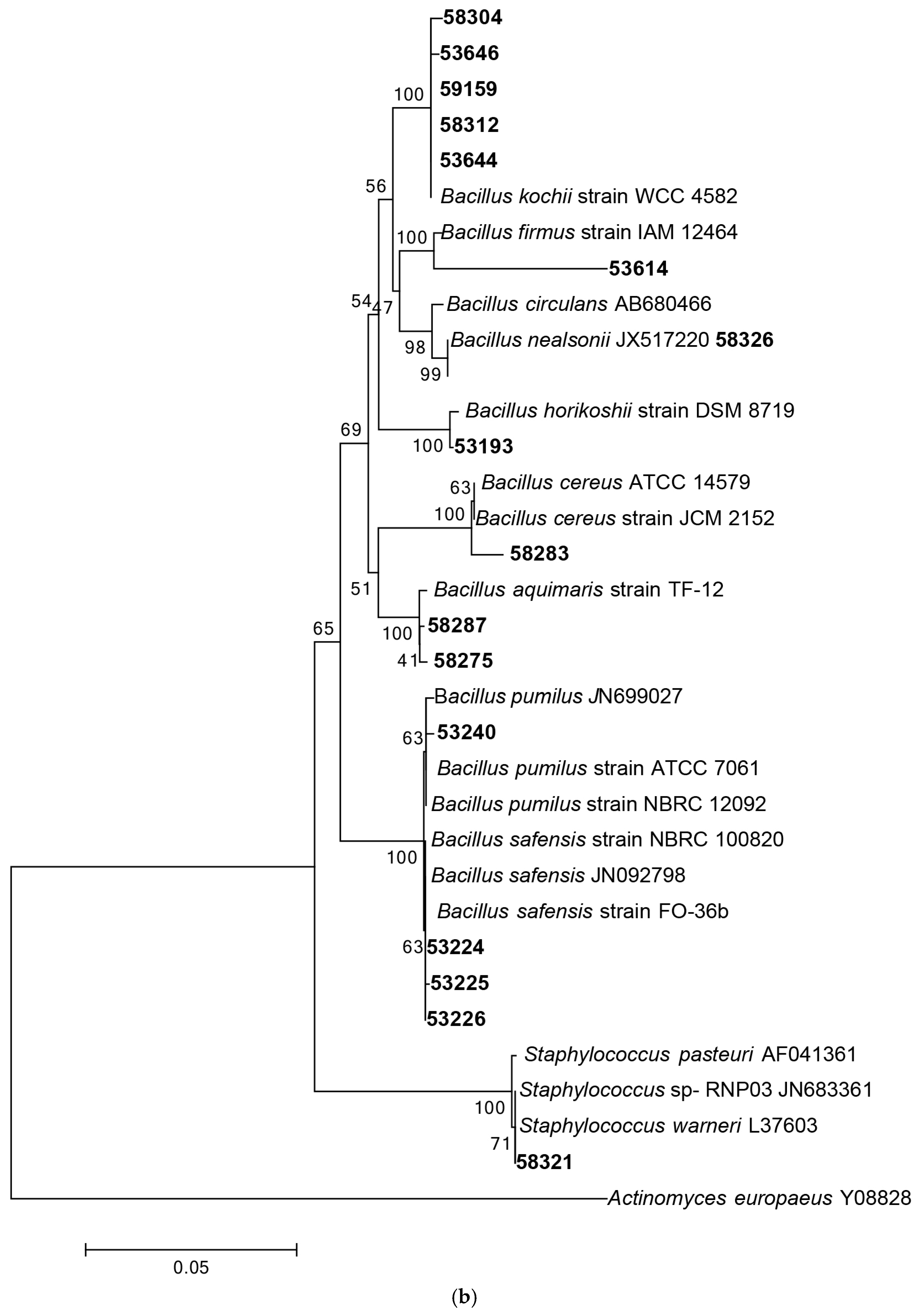Diversity 09 00039 g001b