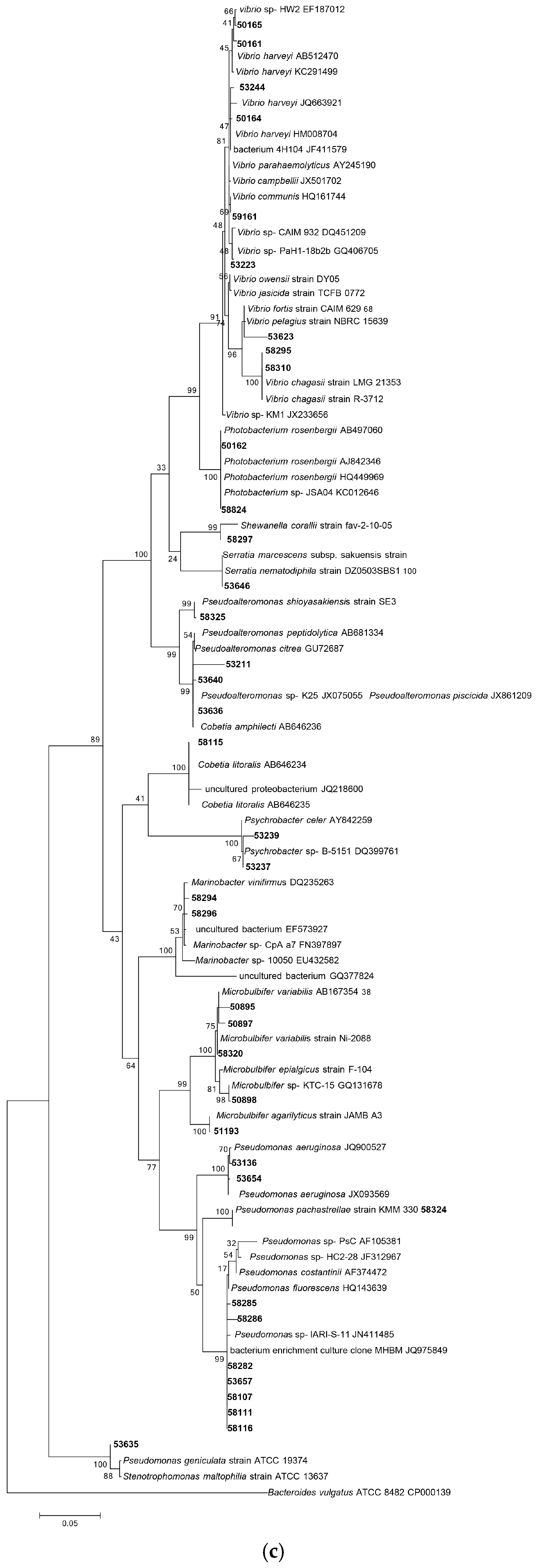 Diversity 09 00039 g001c