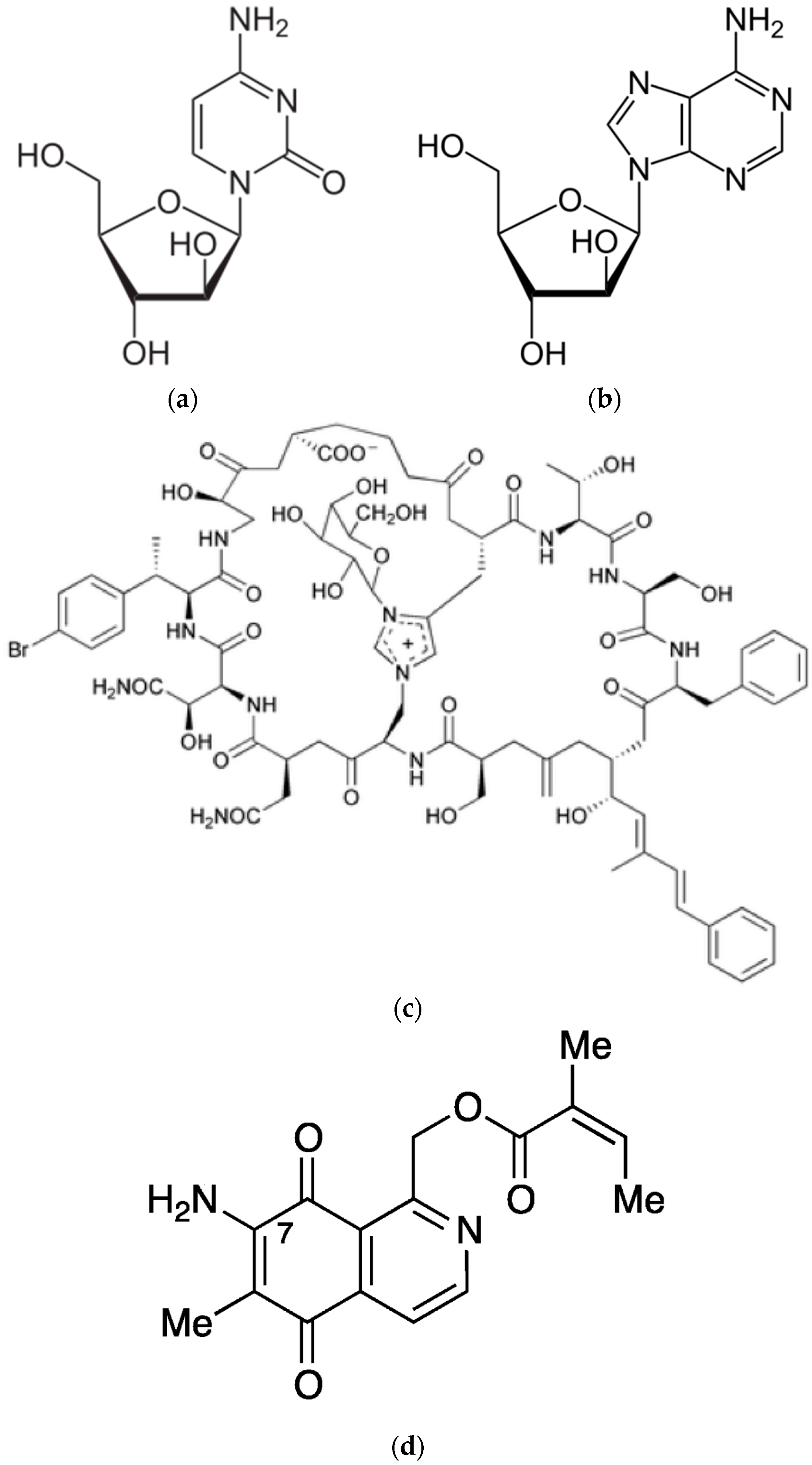 Diversity 09 00040 g001