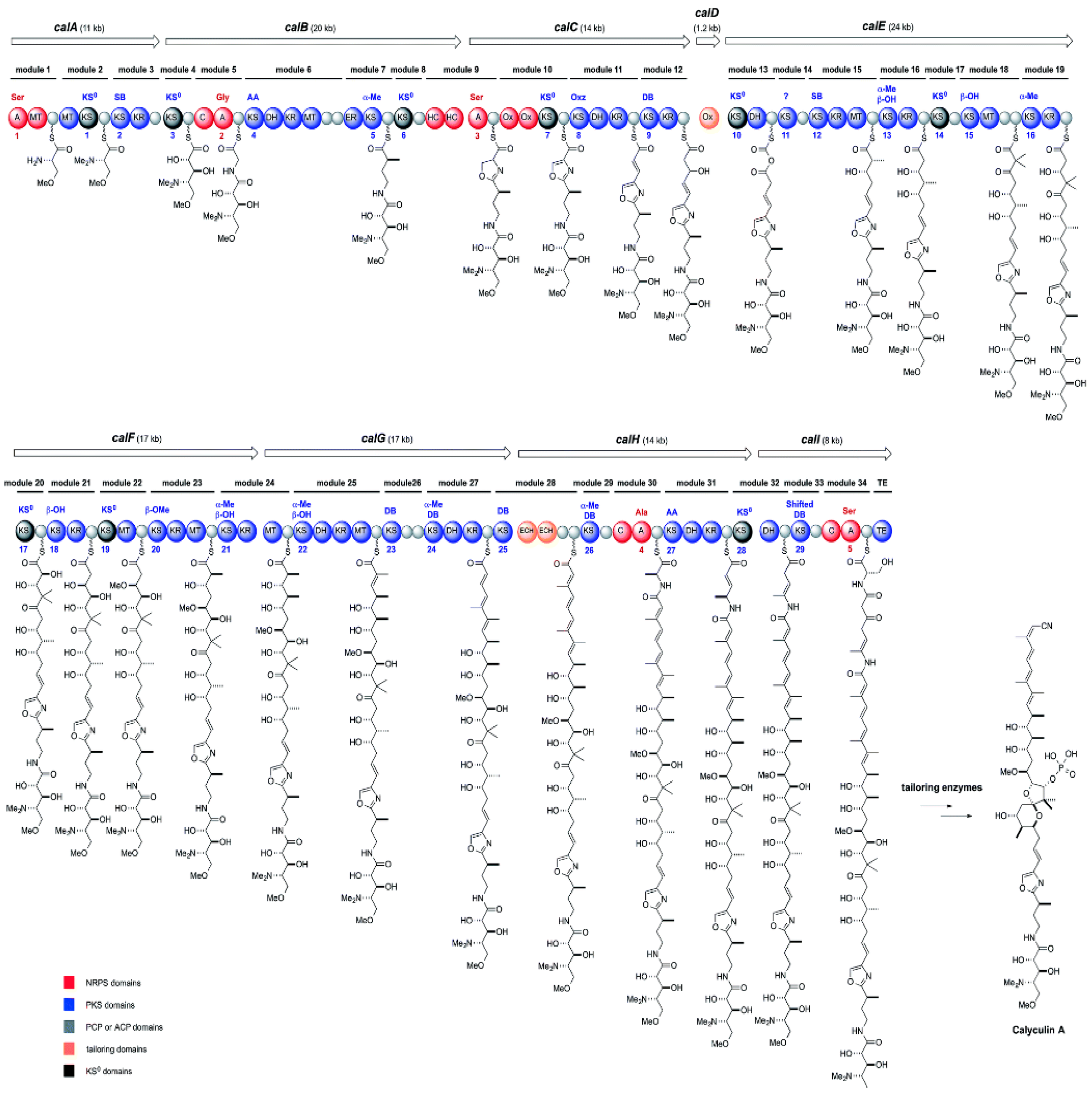 Diversity 09 00040 g005