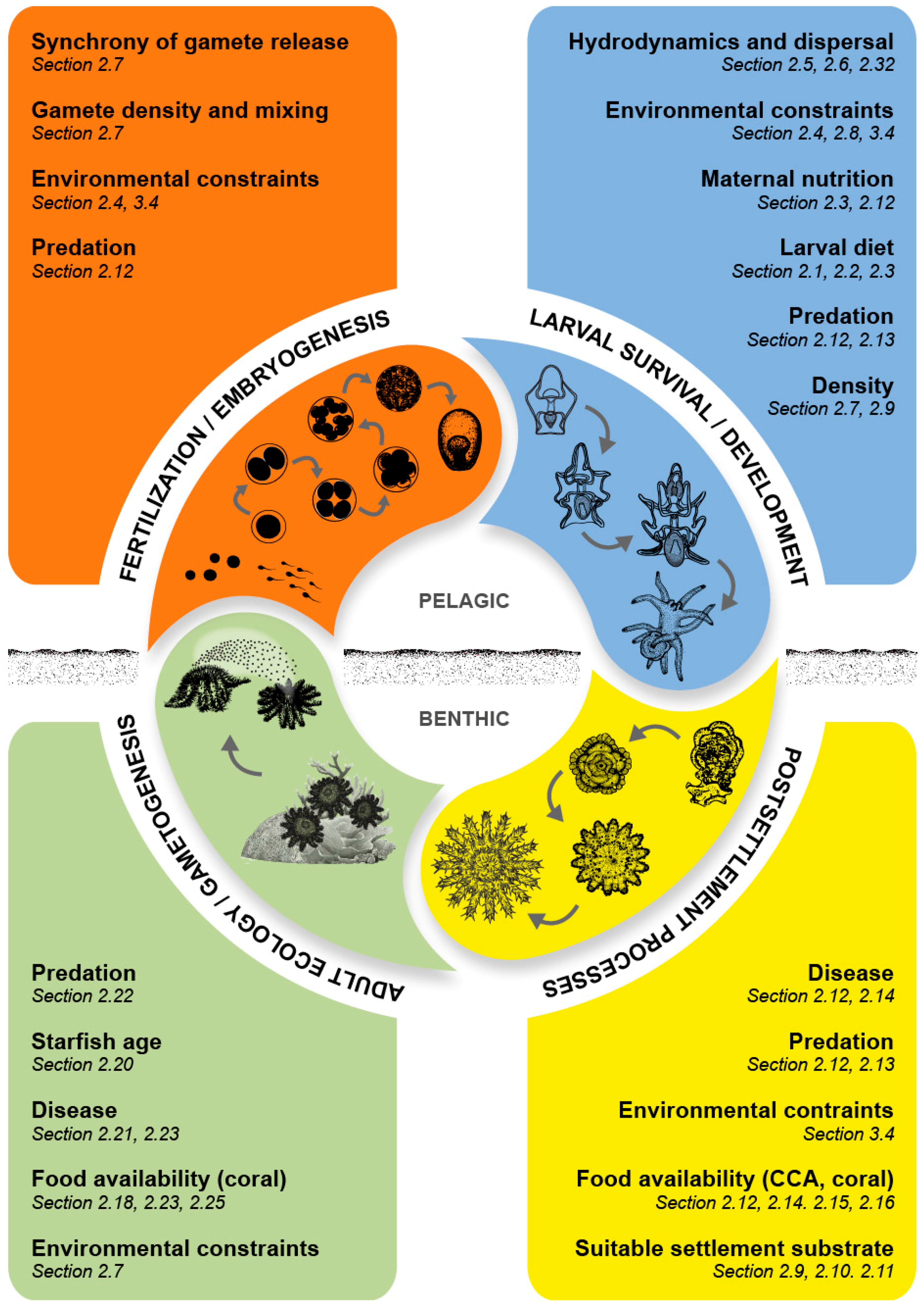 Diversity 09 00041 g003