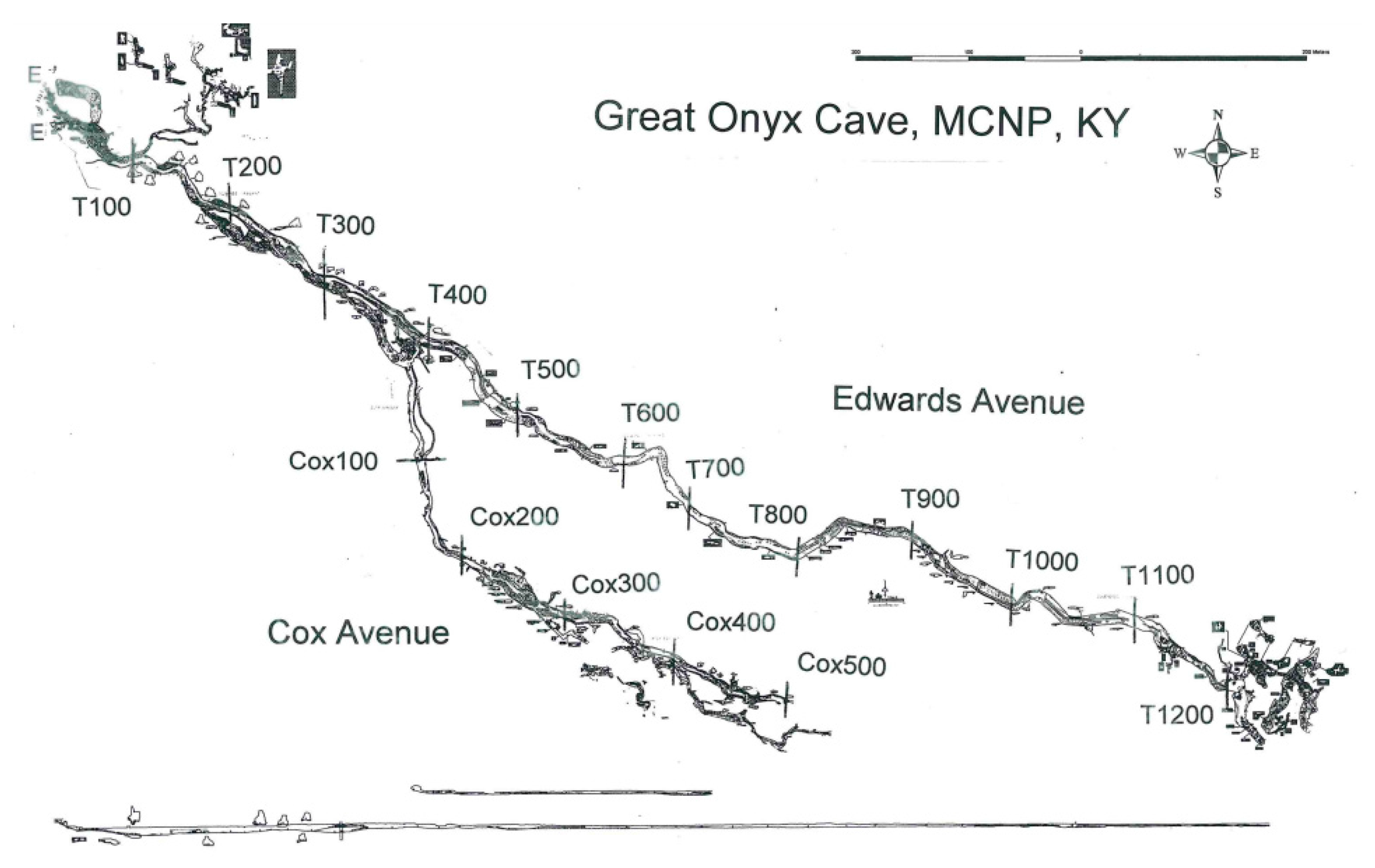 Diversity 09 00042 g001