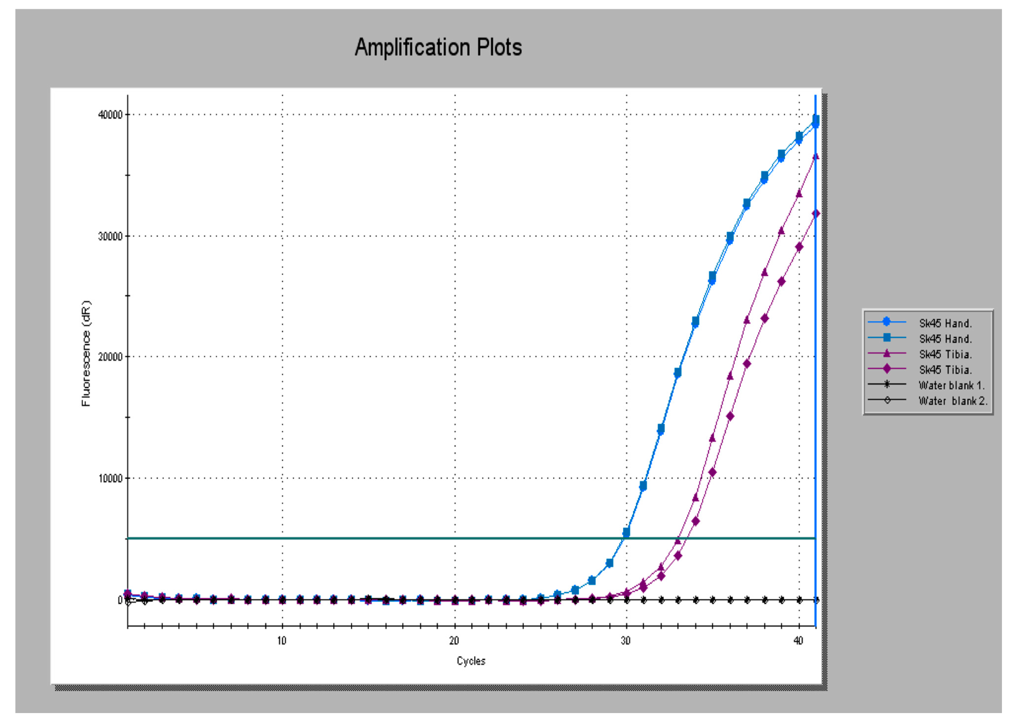 Diversity 09 00046 g001