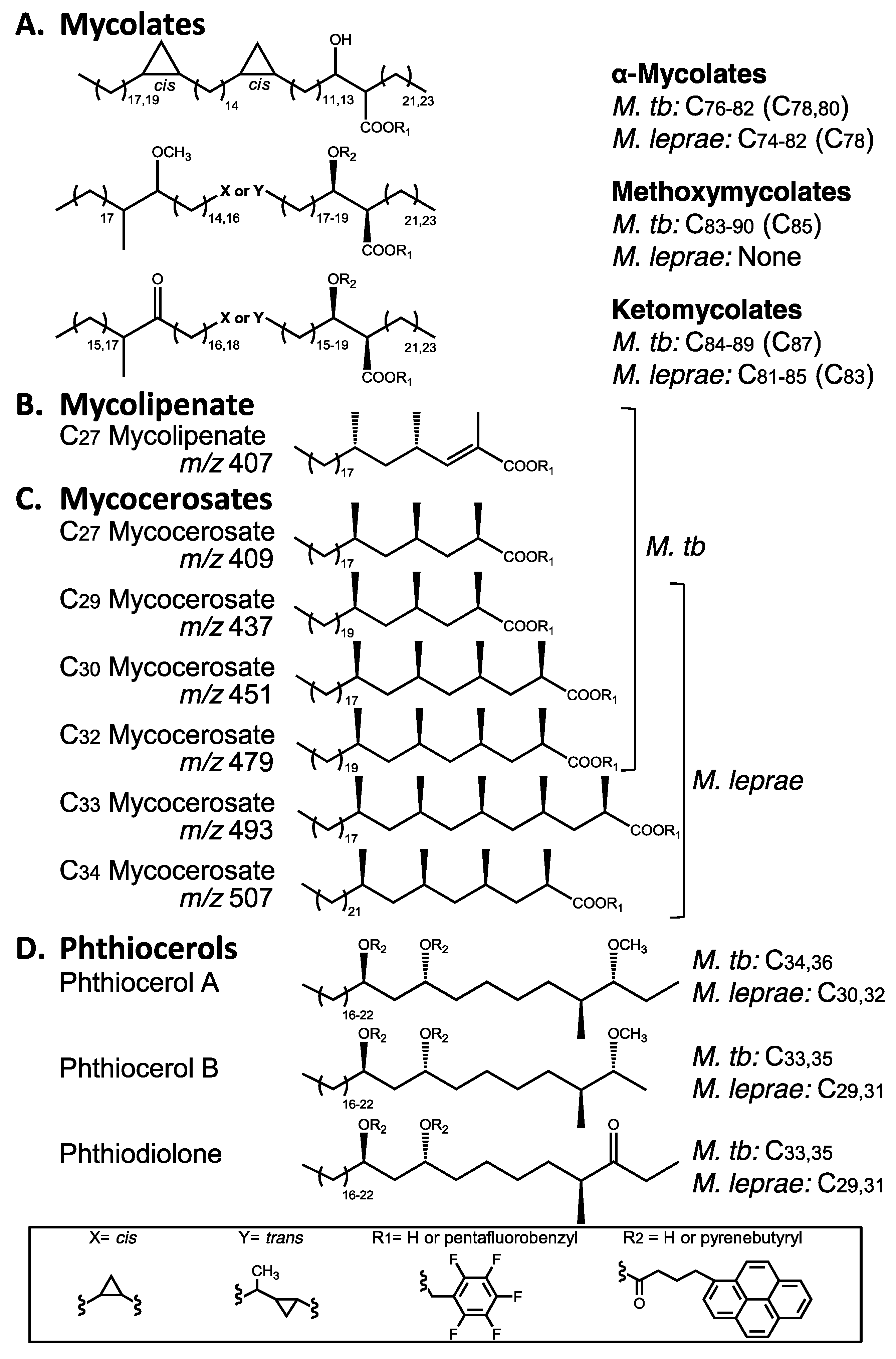 Diversity 09 00046 g002