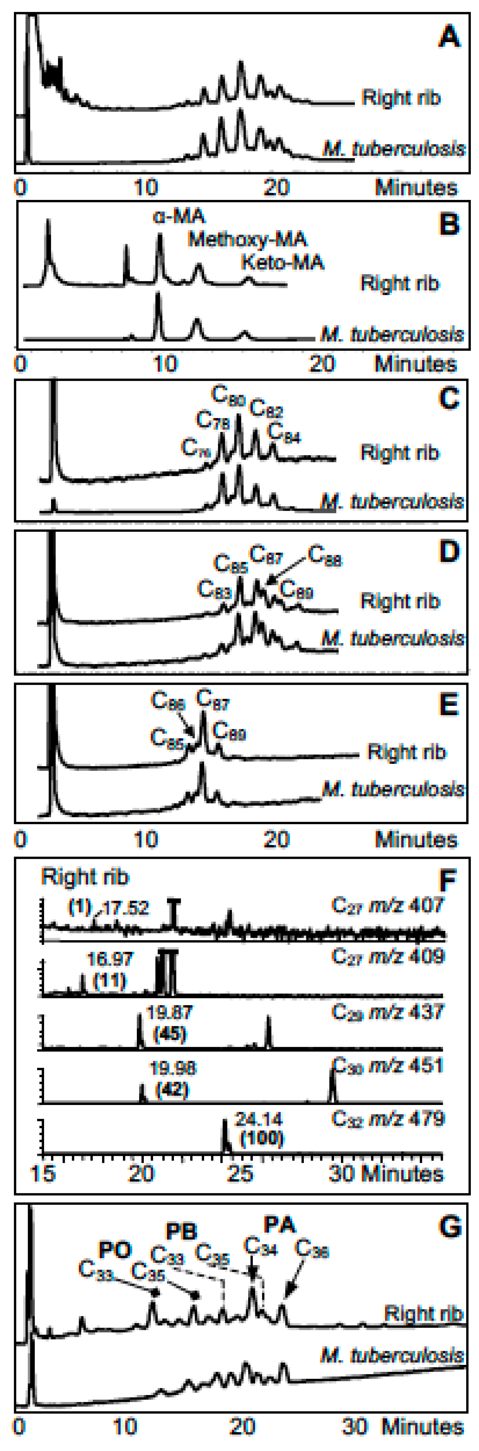 Diversity 09 00046 g003