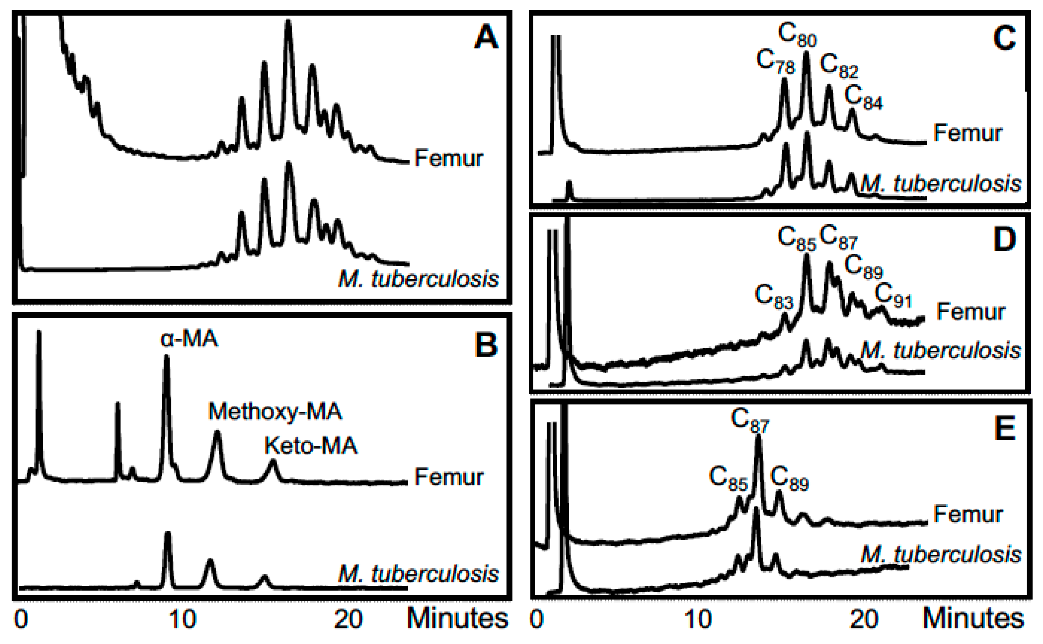 Diversity 09 00046 g004