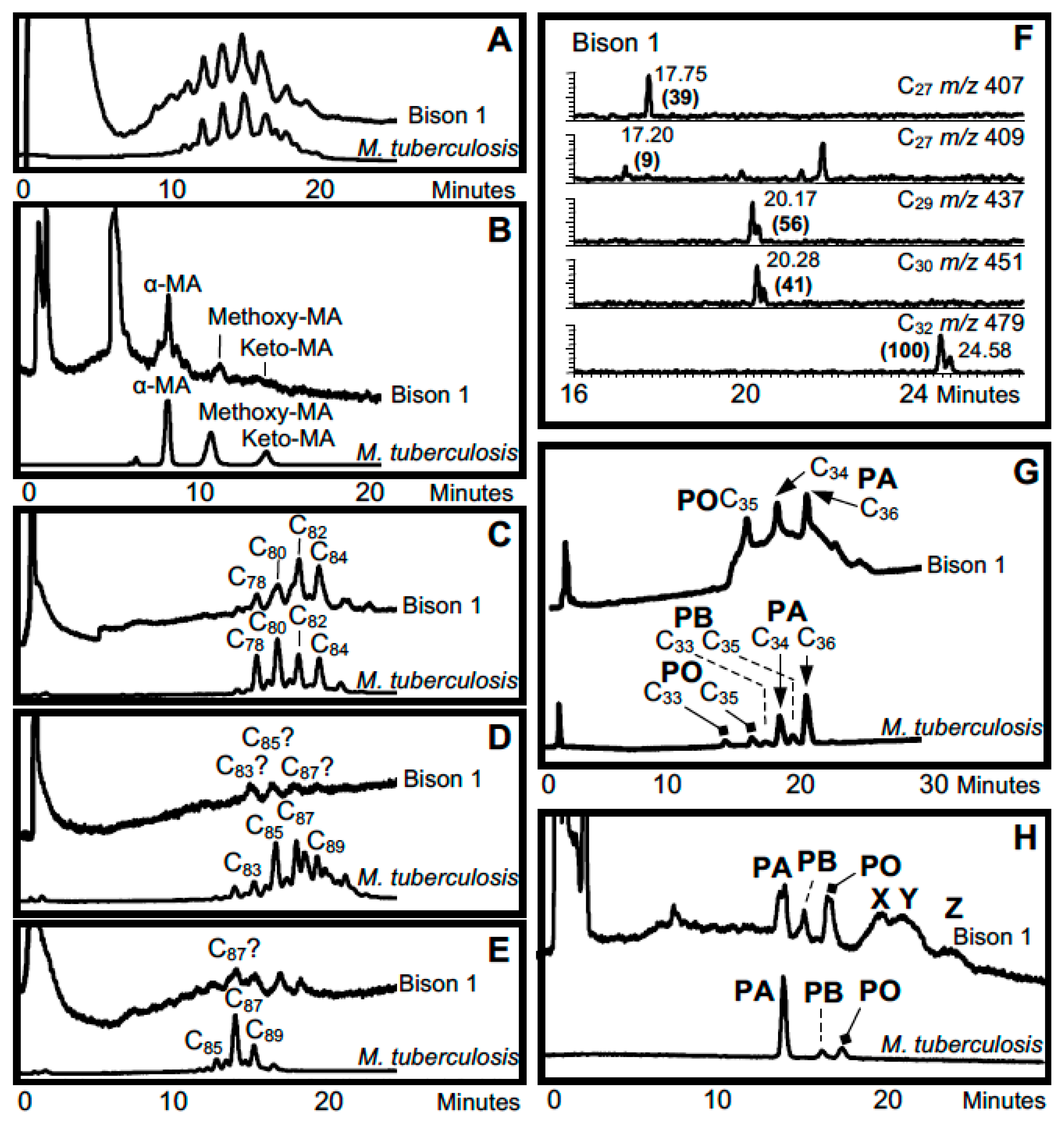 Diversity 09 00046 g005
