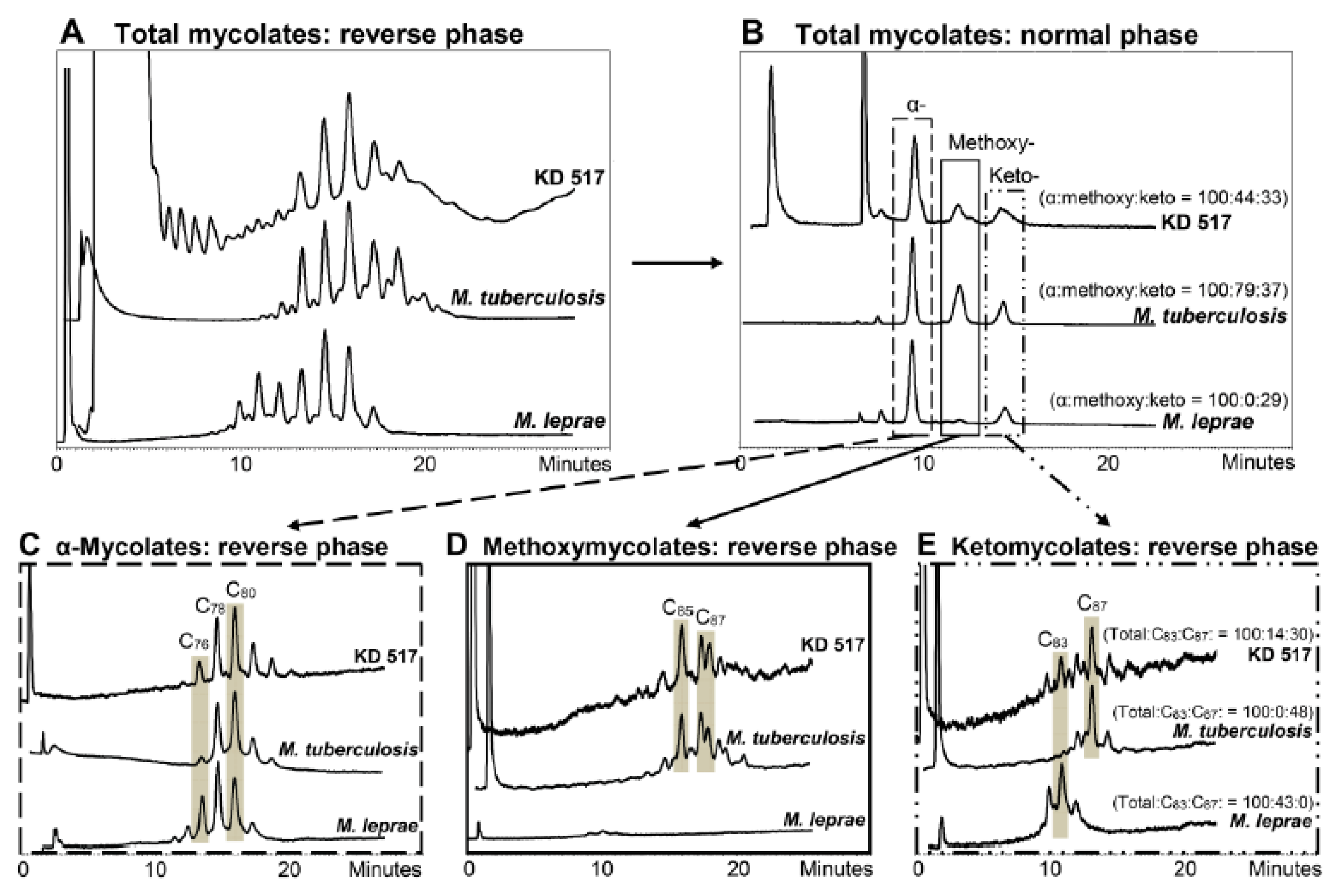 Diversity 09 00046 g008