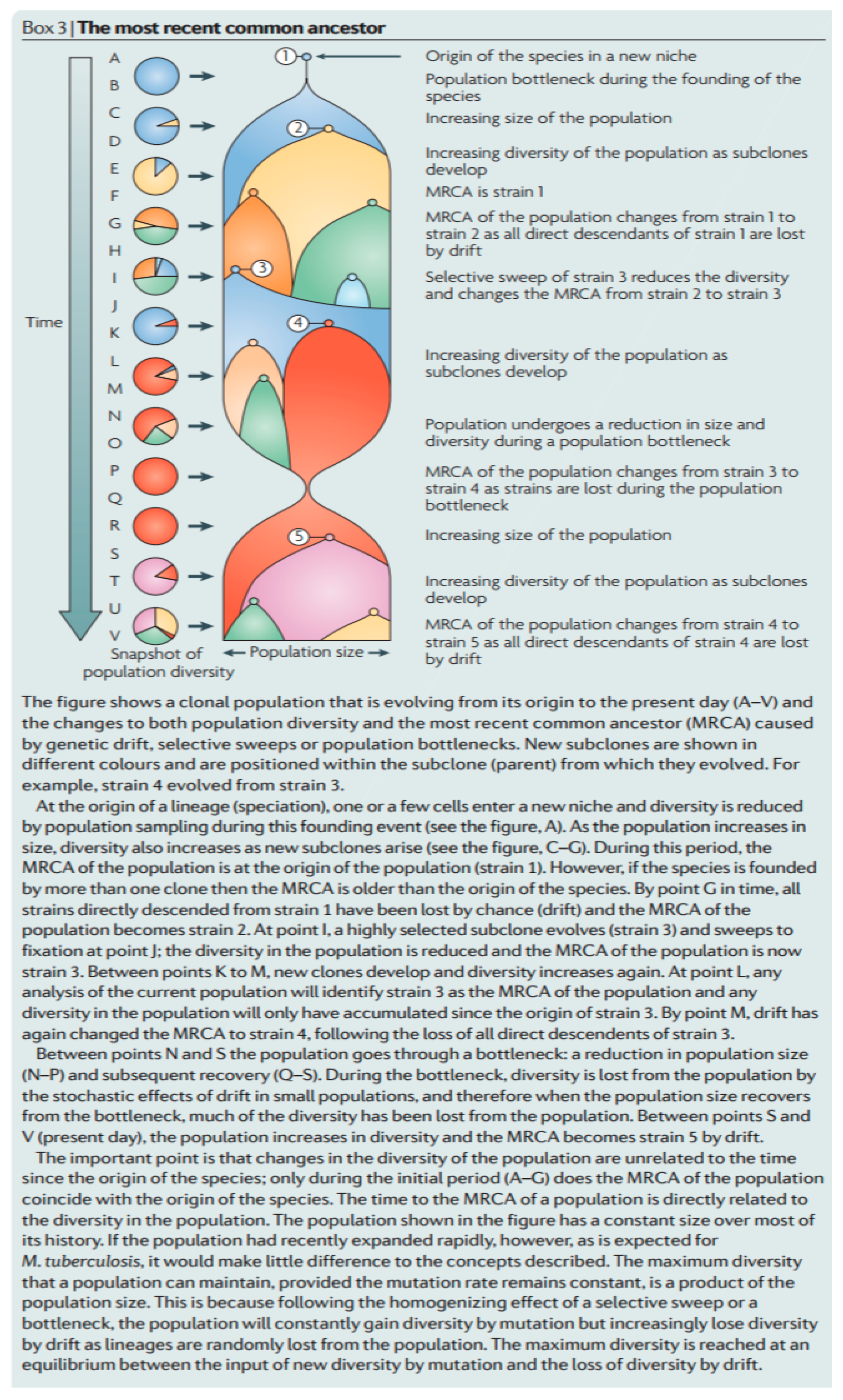 Diversity 09 00046 g010