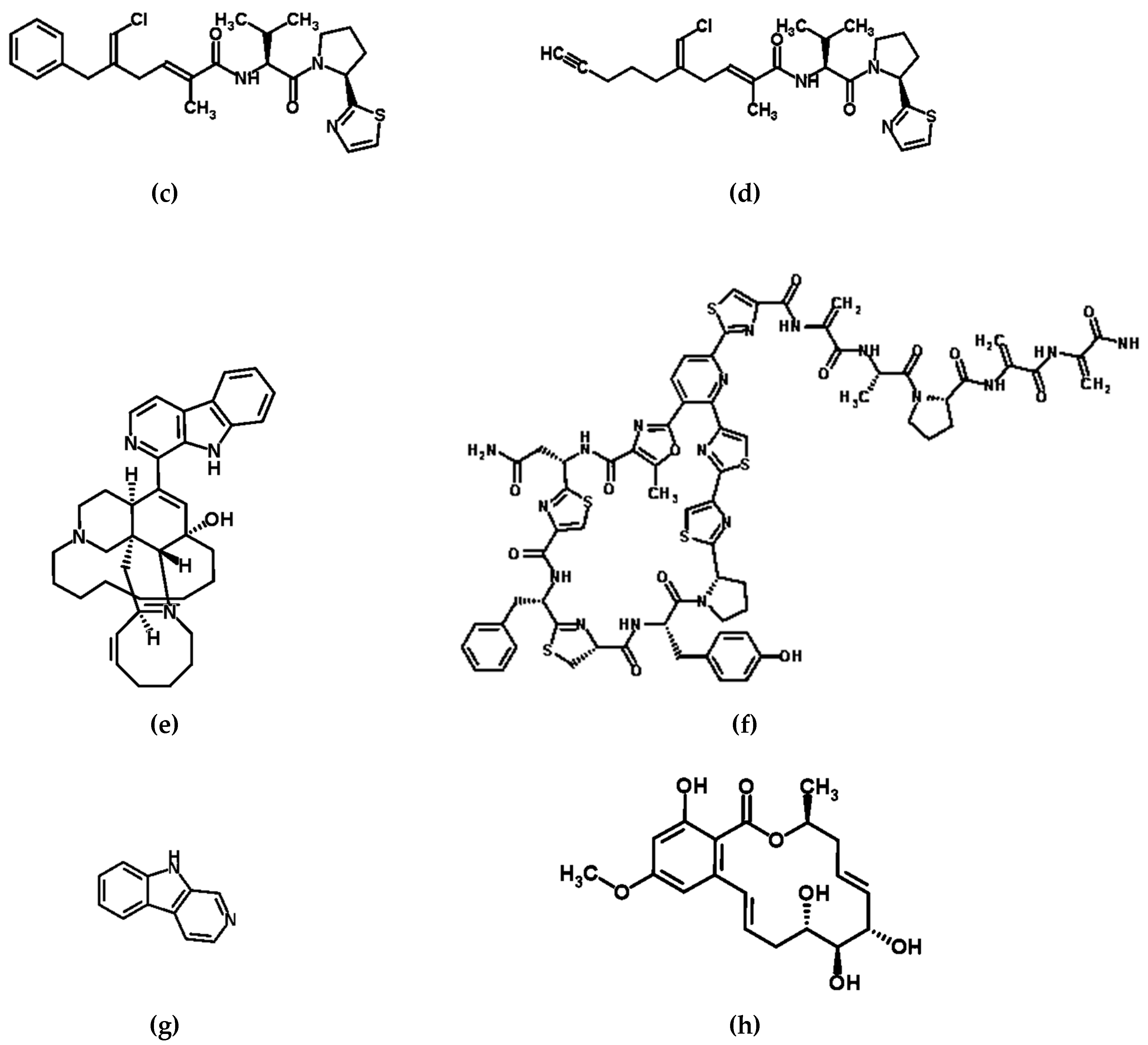 Diversity 09 00049 g001b