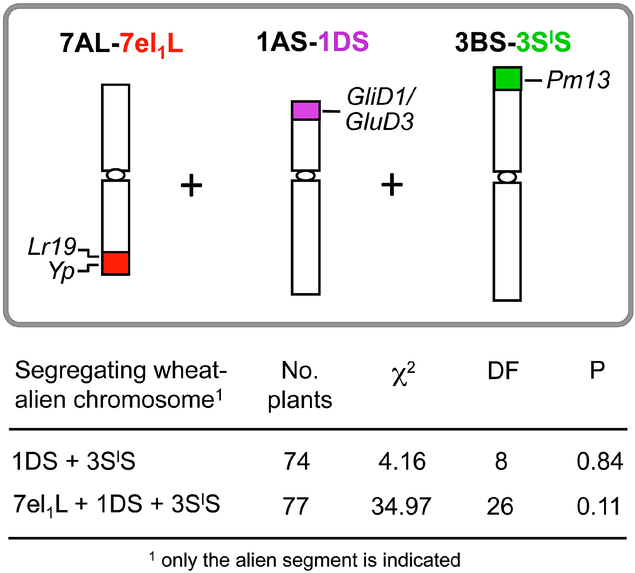 Diversity 09 00055 g001