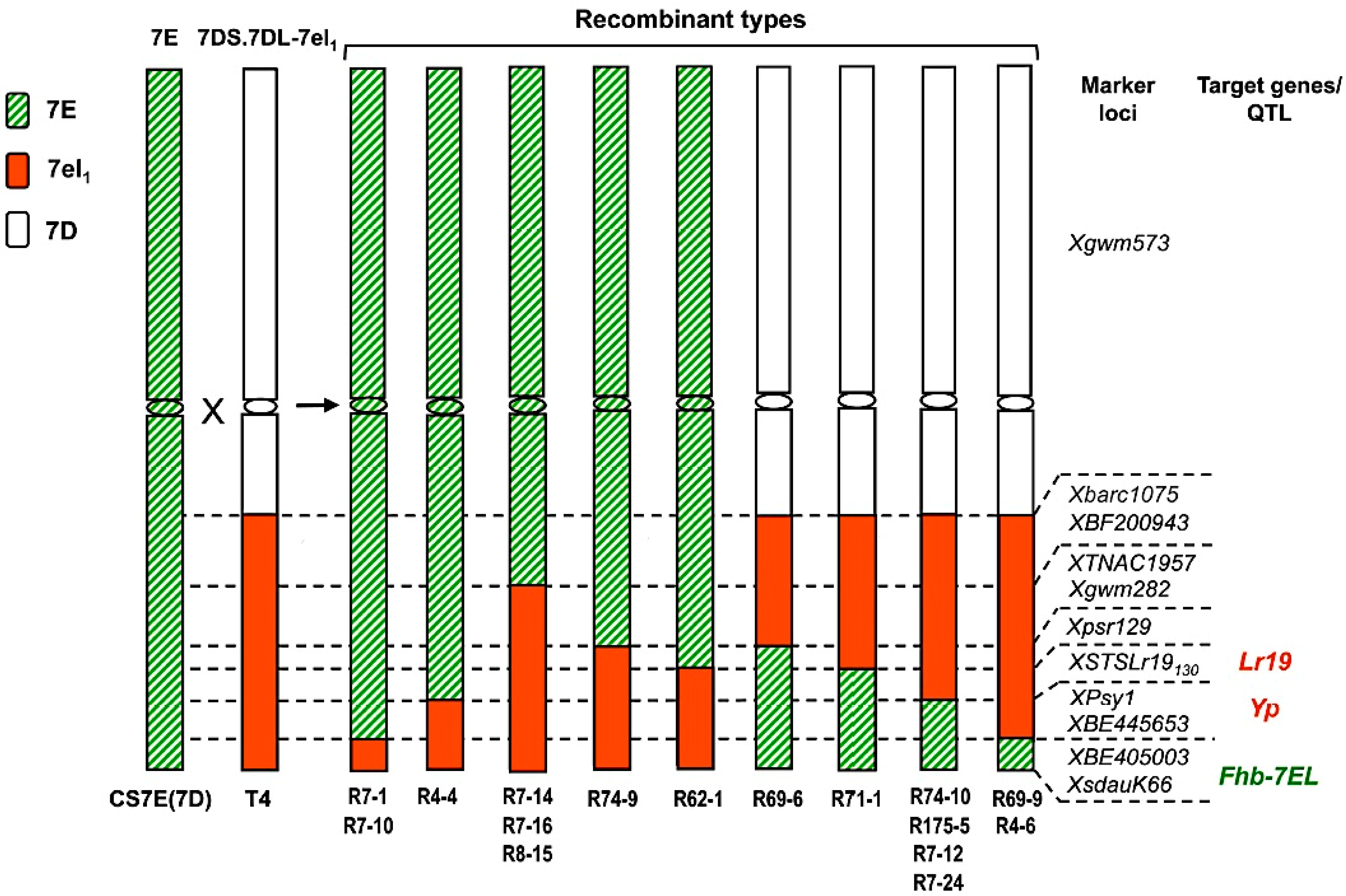 Diversity 09 00055 g003