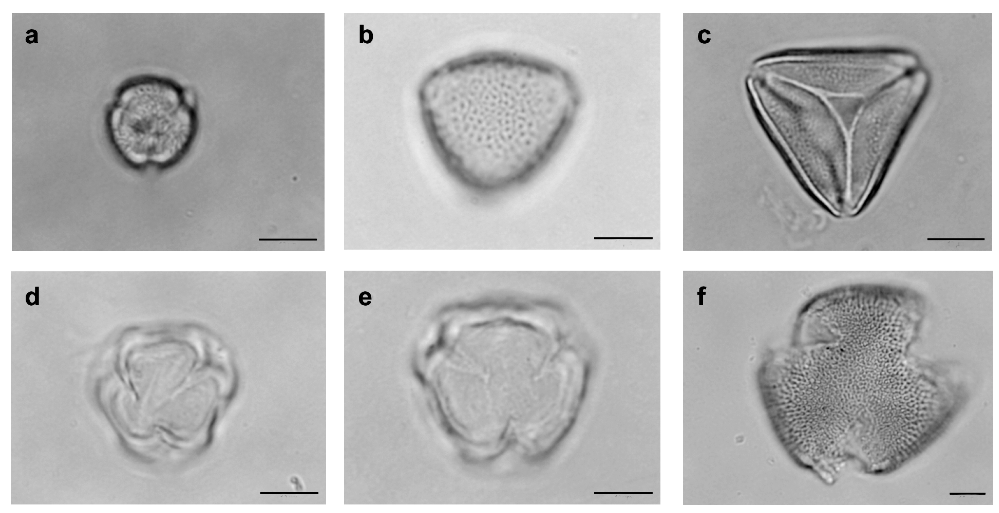Diversity 10 00003 g003 Diversity 10 00003 g003