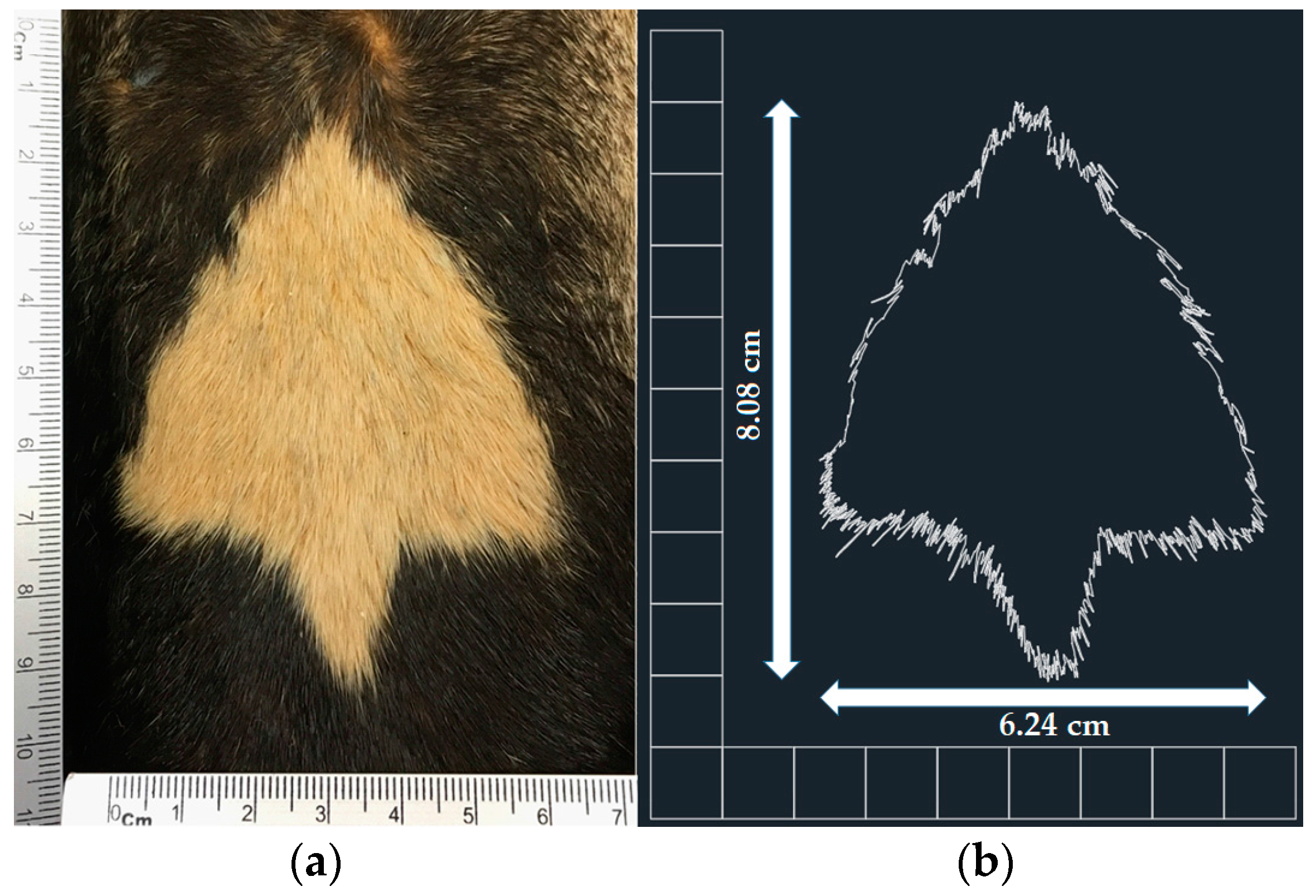 Diversity 10 00007 g002