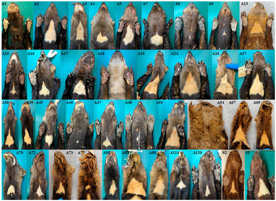 Diversity 10 00007 g0a2a 550